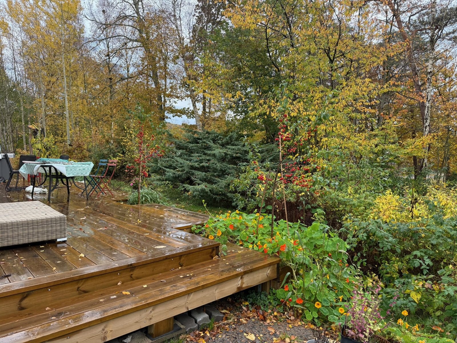 4 rok · 100 m² i Ugglarp – bild 20