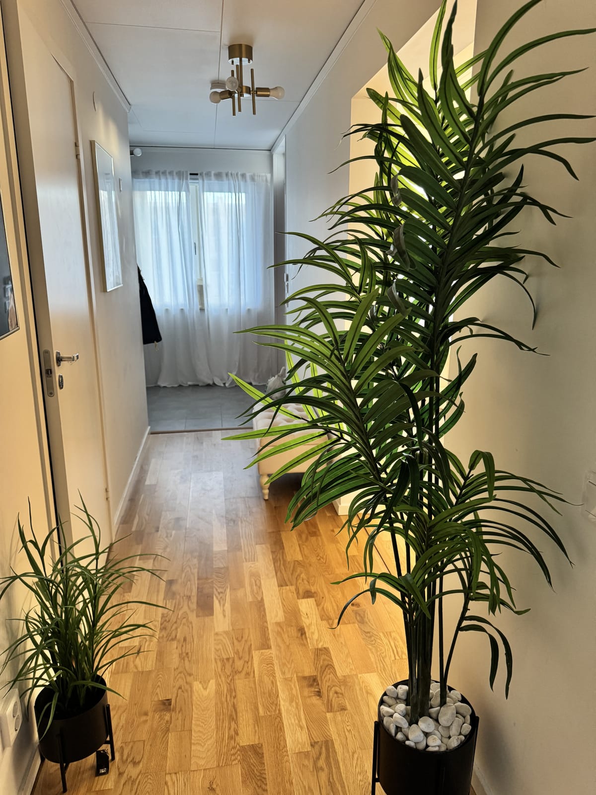 2 rok · 69 m² i Brandbergen – bild 6