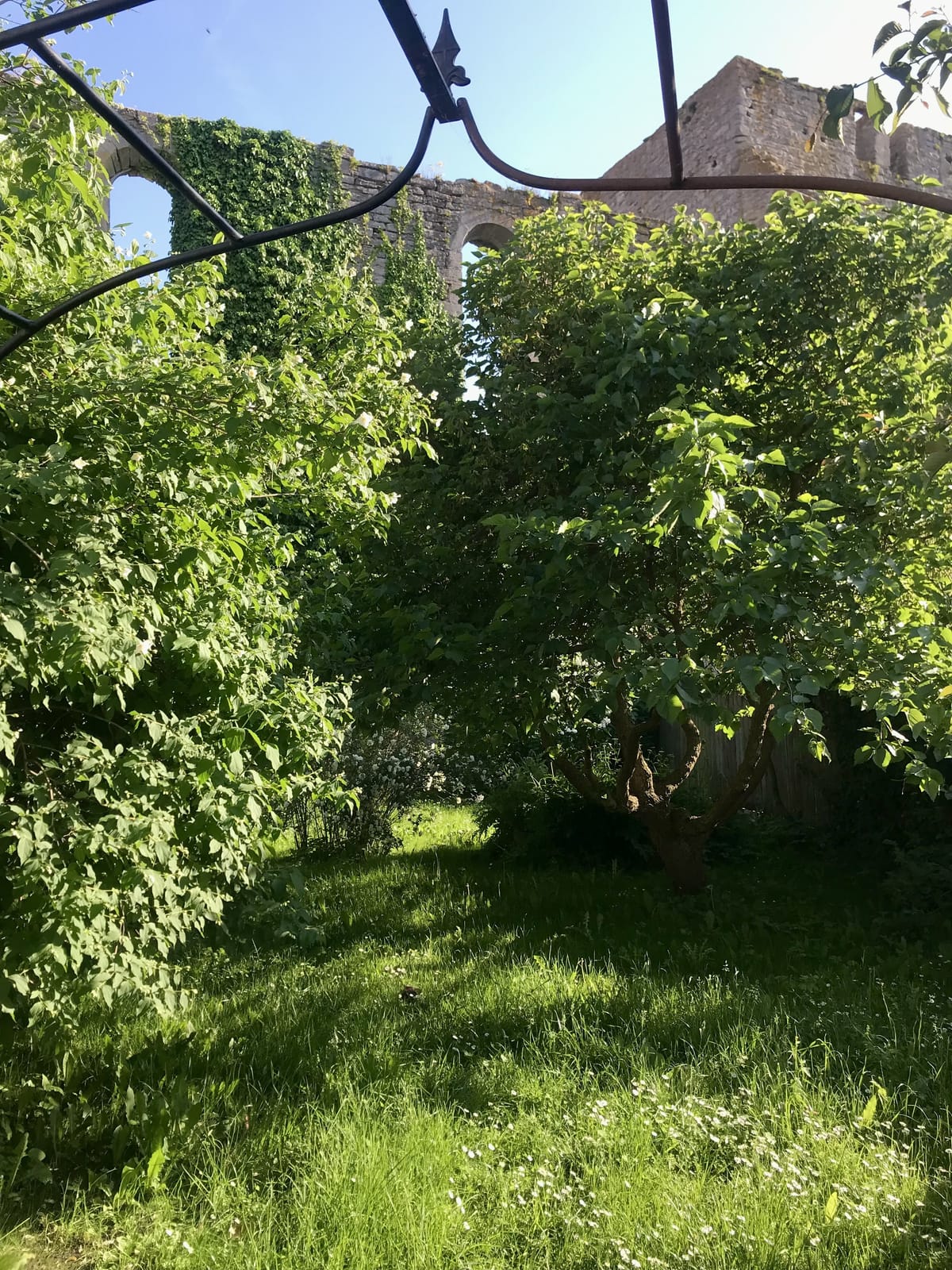 3 rok · 66 m² i Visby – bild 14