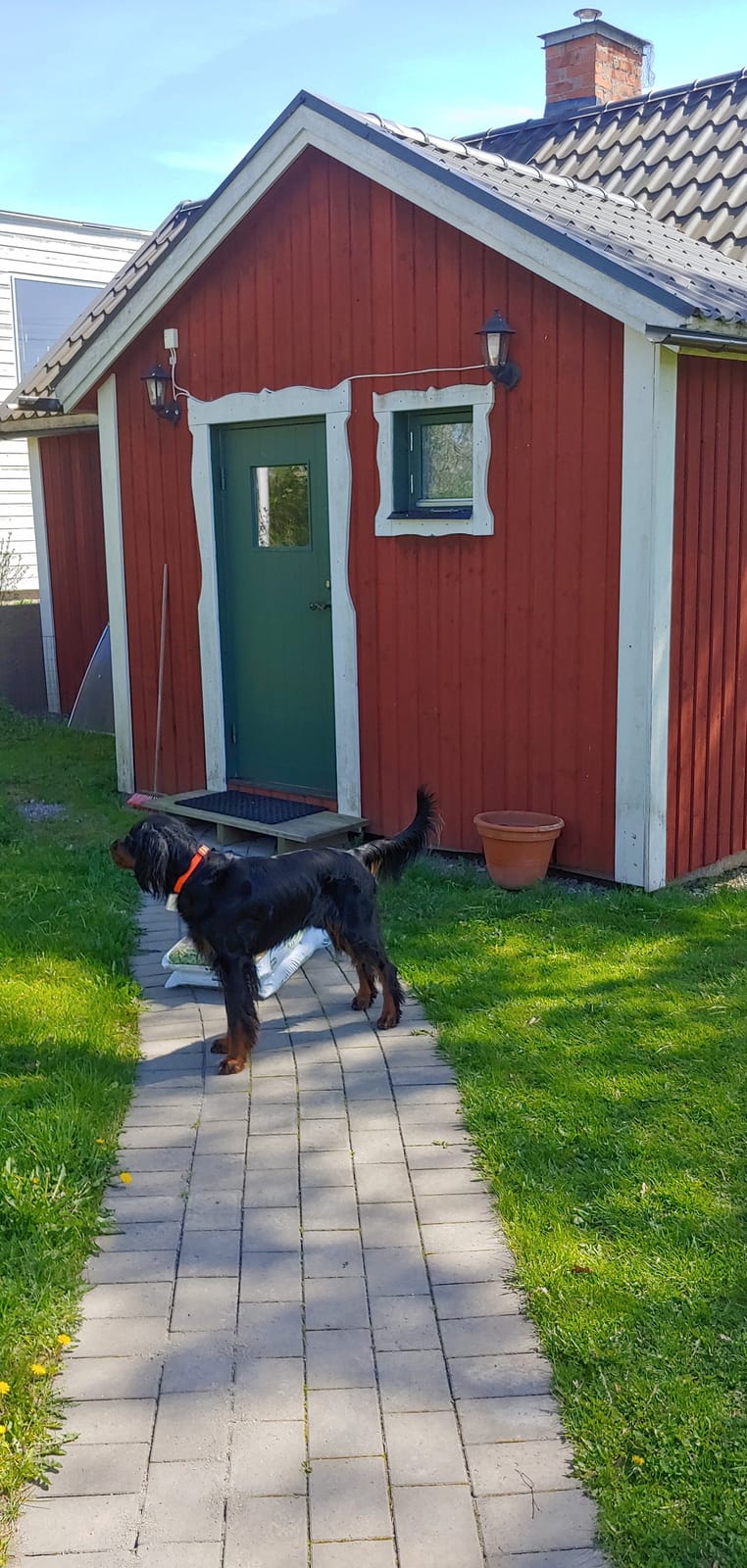 1 rok · 30 m² i Bålsta – bild 2