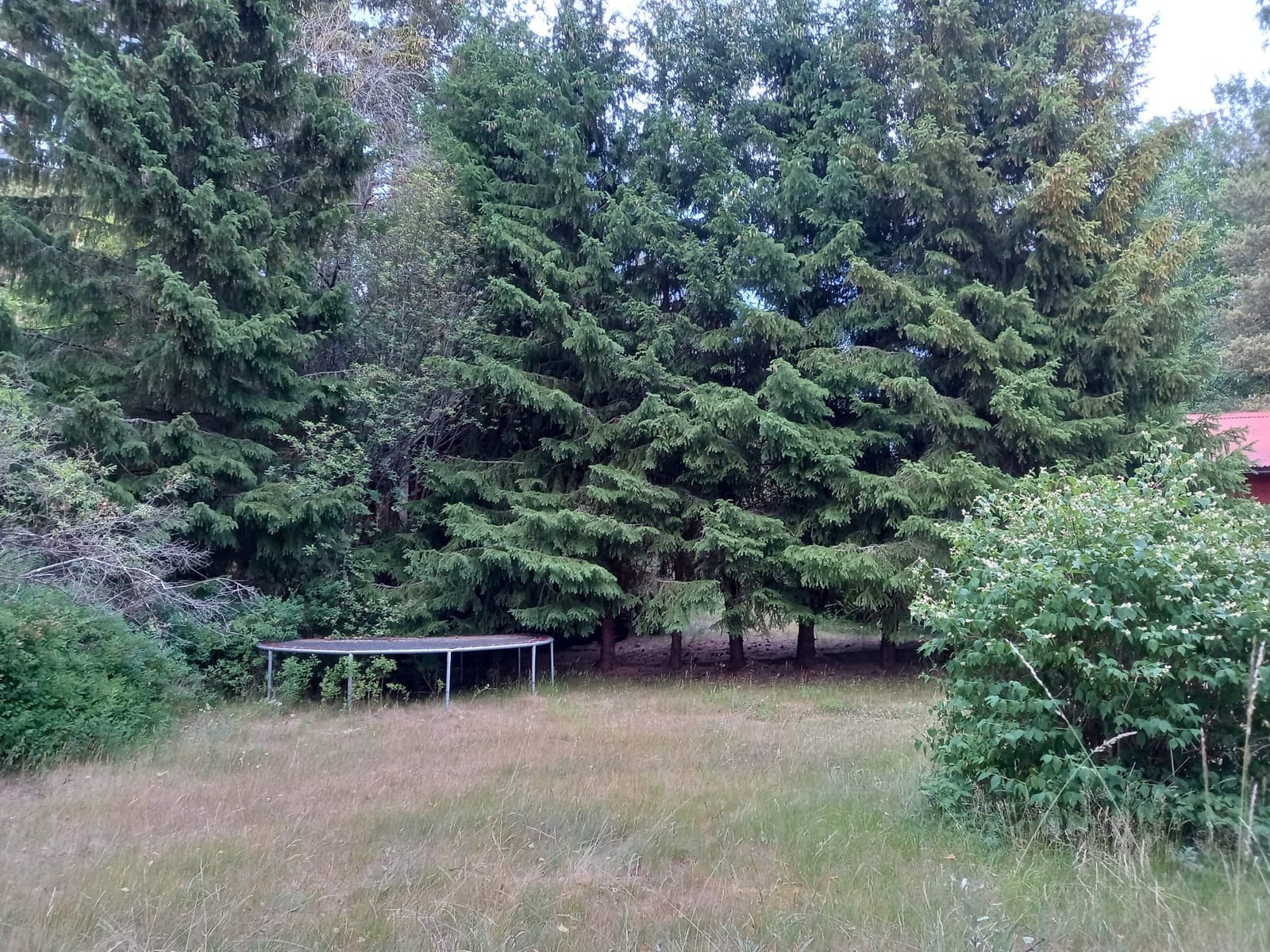 5 rok · 120 m² i Hallstavik – bild 4