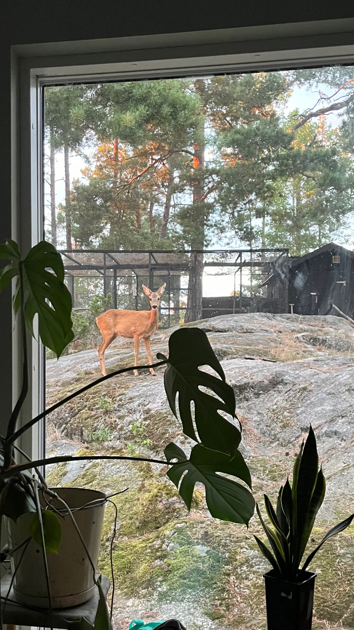 Villa/Hus, 6 rooms, 170 sqm, Värmdö – Värmdö