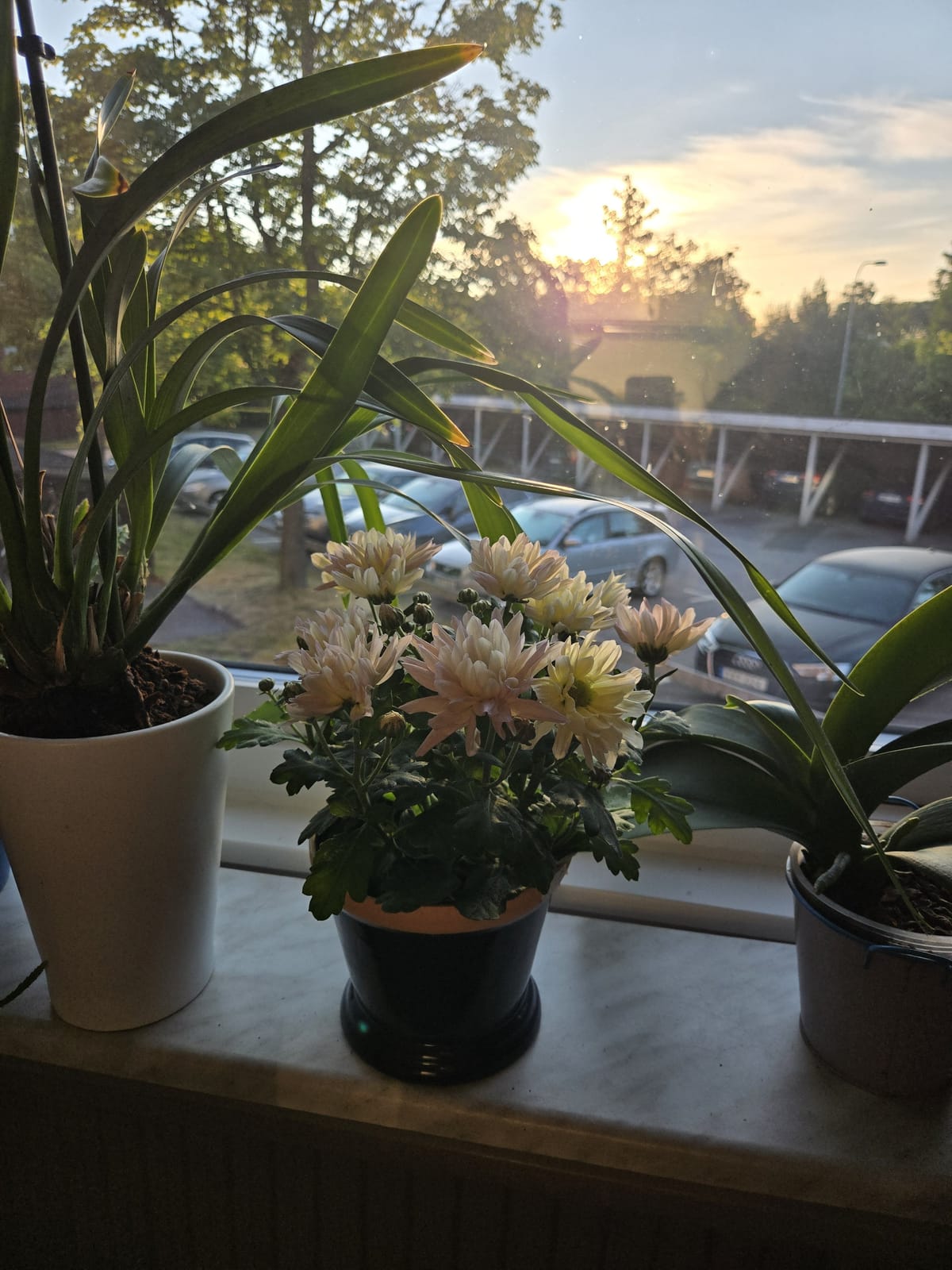3 rok · 75 m² i Ljungby