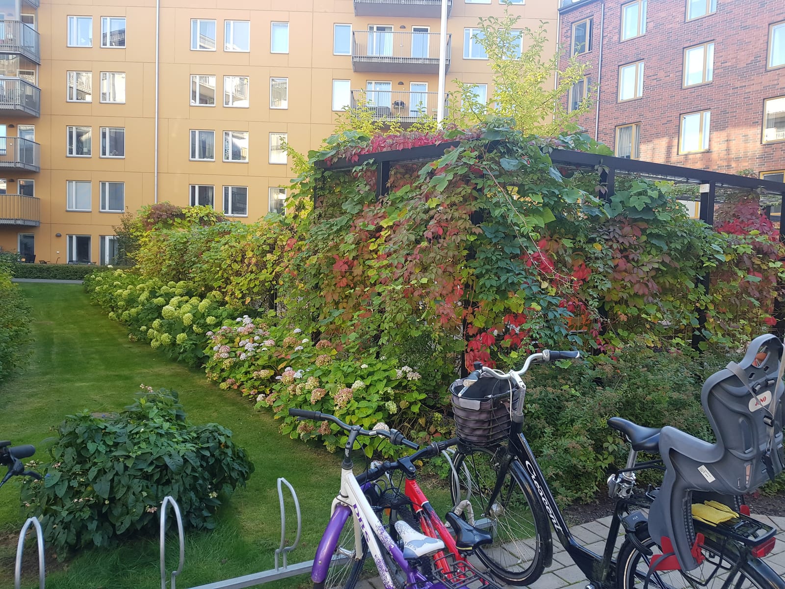 1 rok · 35 m² i Uppsala – bild 8