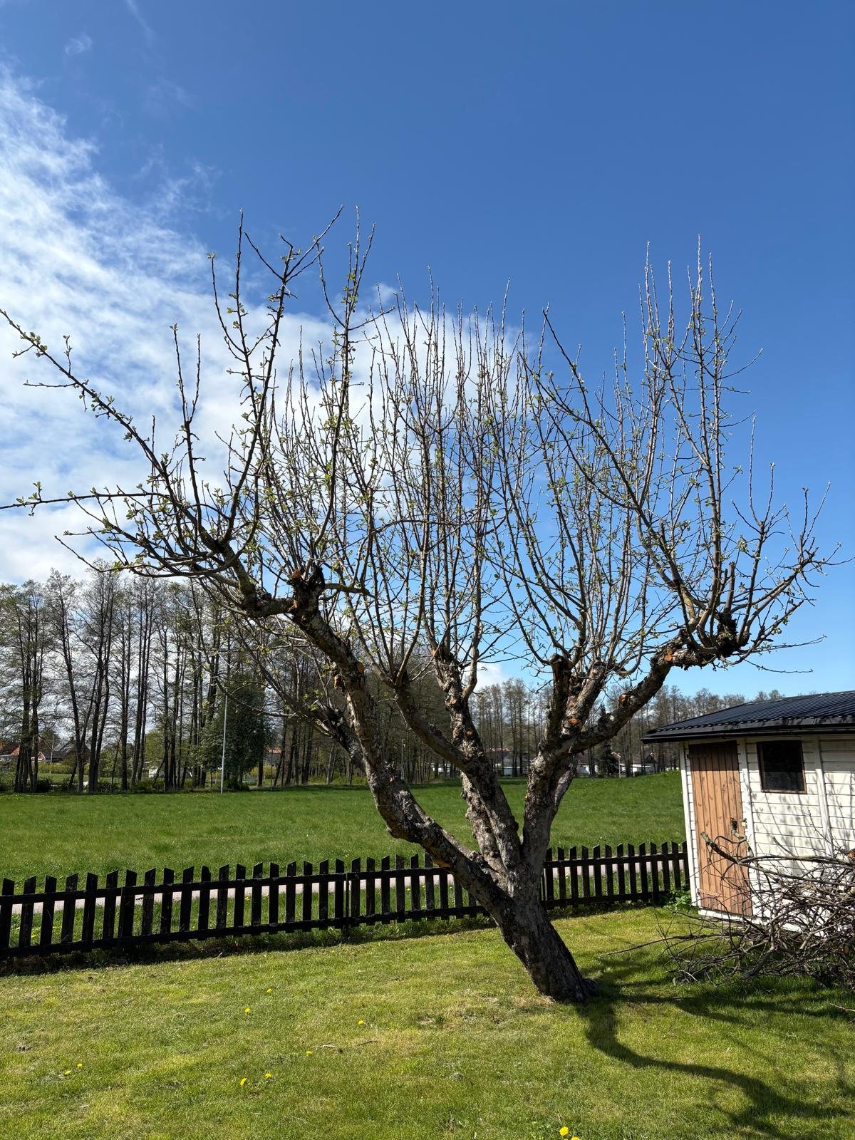 Villa/Hus, 4 rooms, 88 sqm, Köping – bild 9