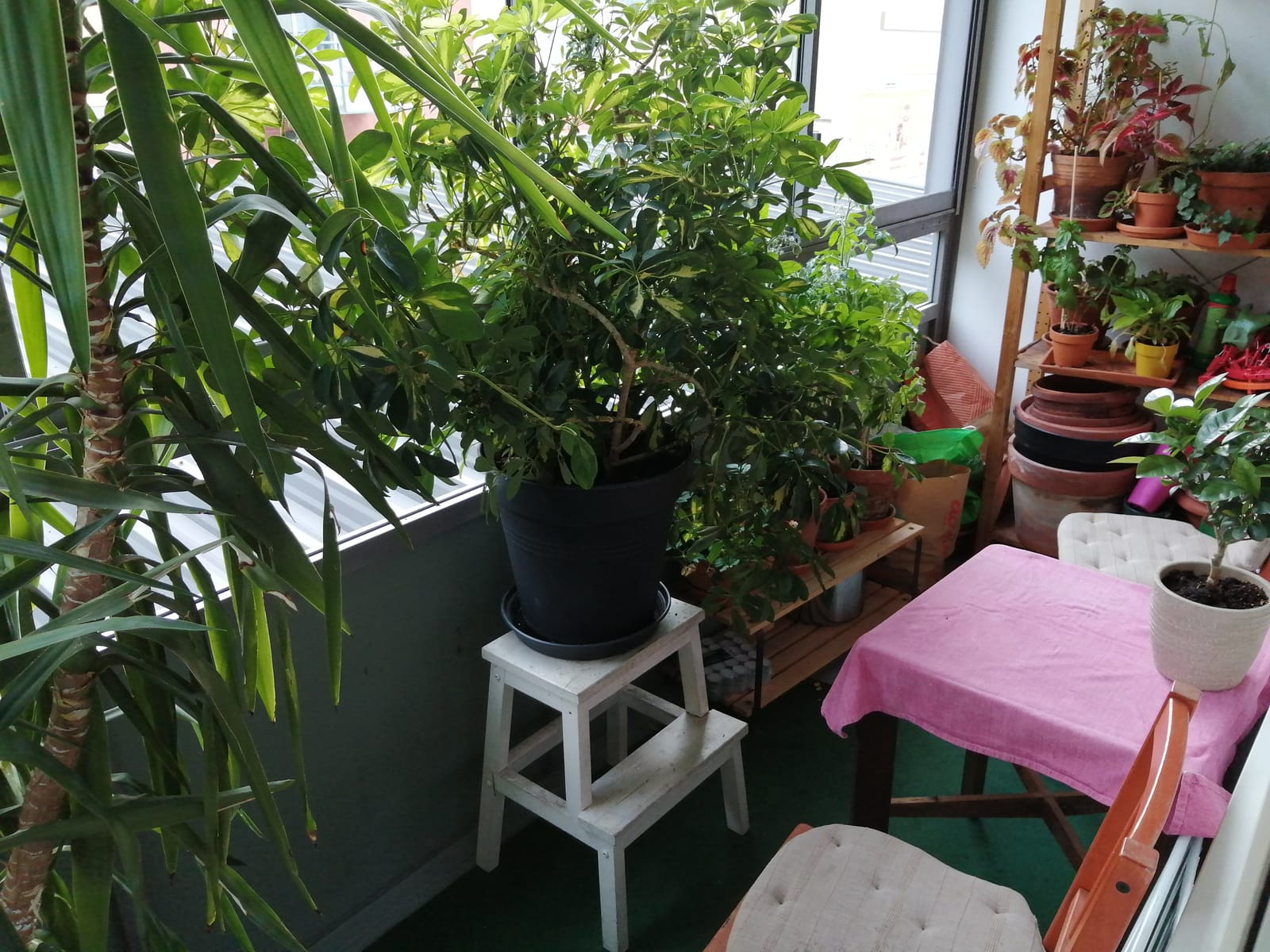 1 rok · 12 m² i Göteborg – bild 7