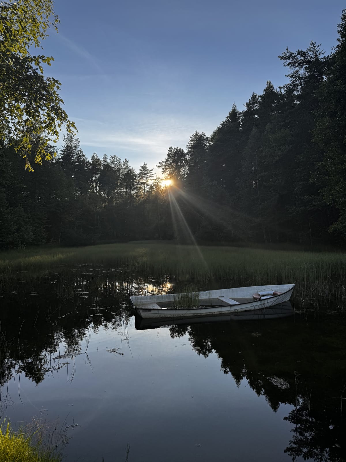 3 rok · 65 m² i Tärnsjö  – bild 35