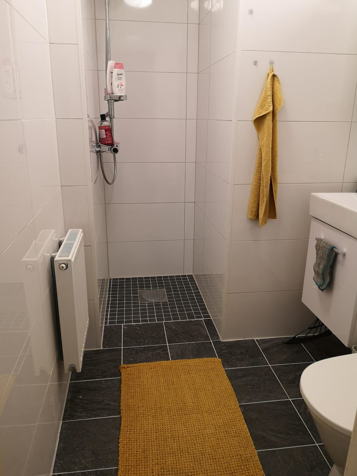 1 rok · 17 m² i Åseda – bild 5