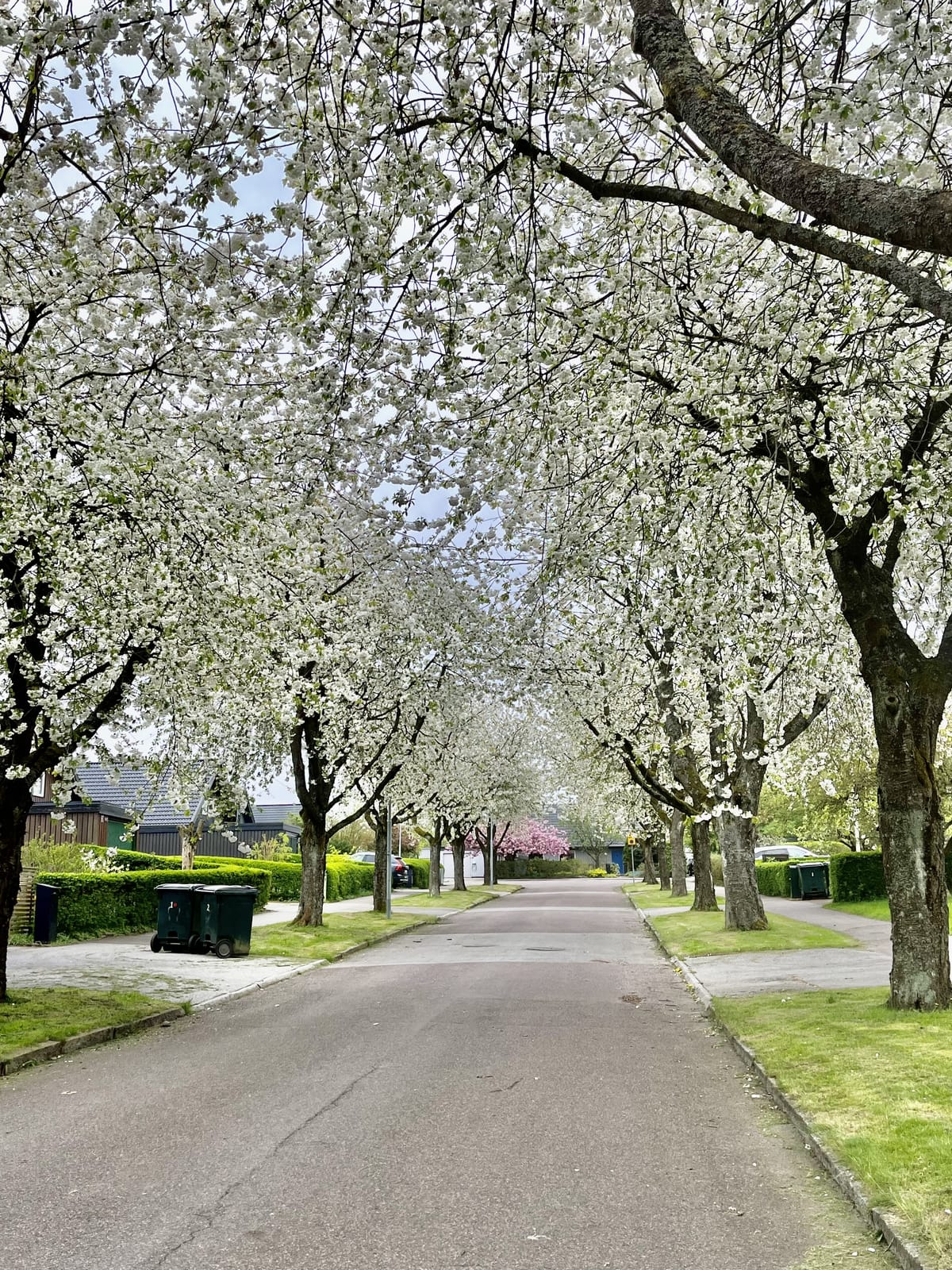 7 rok · 165 m² i Lund – bild 2