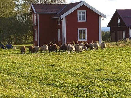 Villa/Hus, 5 rooms, 100 sqm, Ås