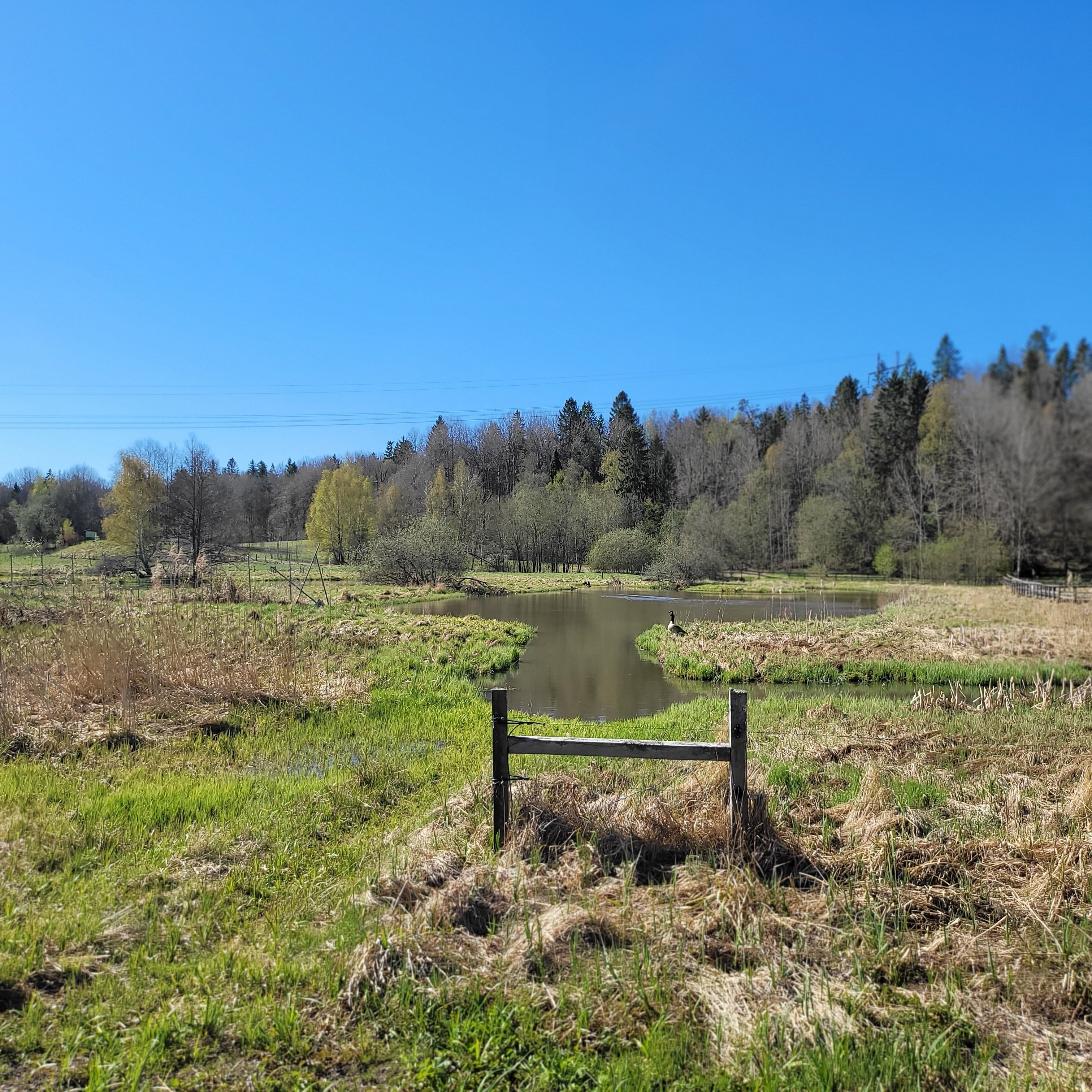 Villa/Hus, 3 rooms, 60 sqm, Huddinge – bild 12