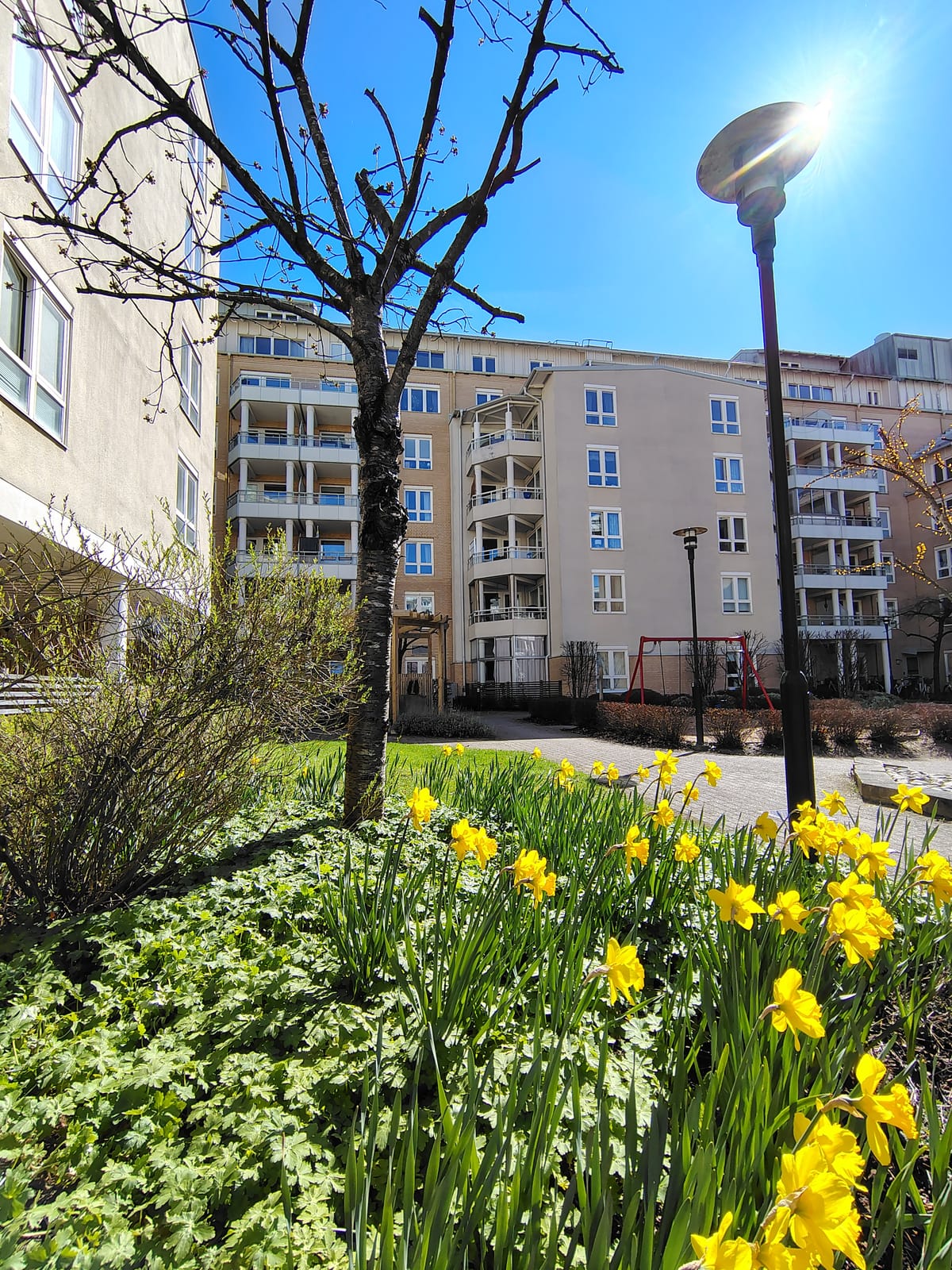 1 rok · 34 m² i Halmstad