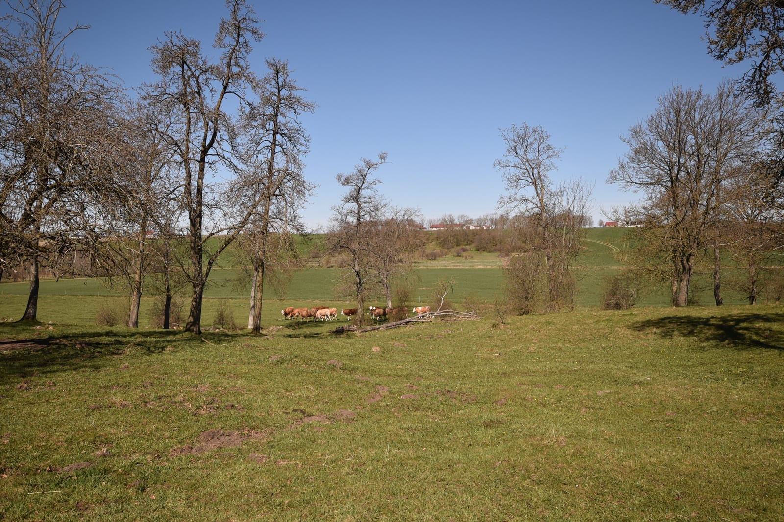 6 rok · 160 m² i Tomelilla – bild 16