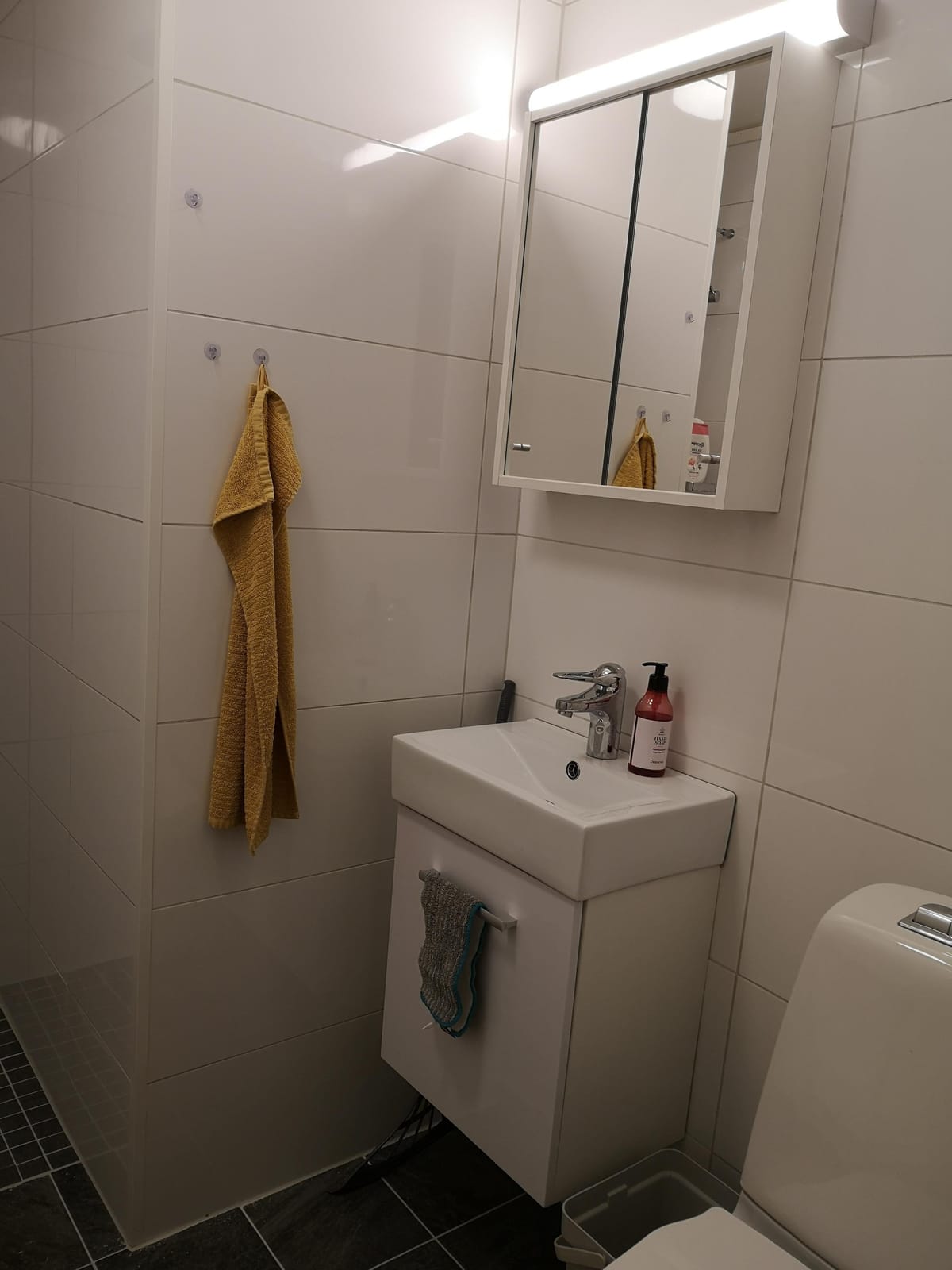 1 rok · 17 m² i Åseda – bild 3