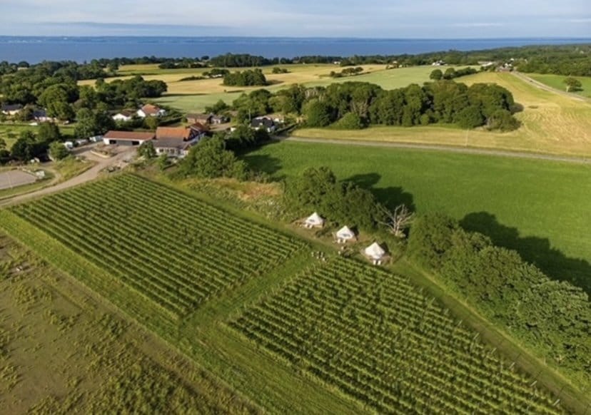 5 rok · 150 m² i Arild – bild 3