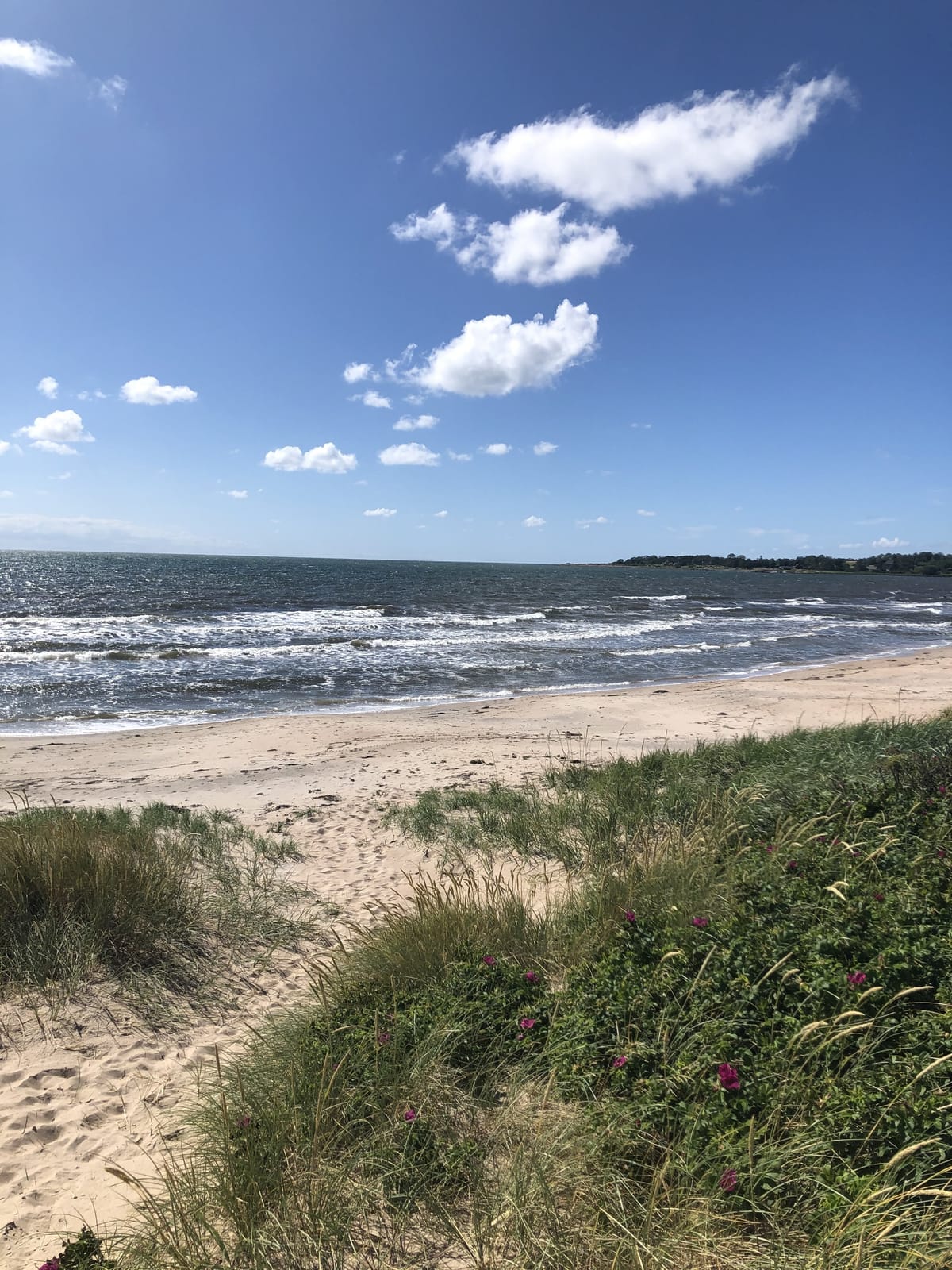 4 rok · 56 m² i Båstad – bild 11