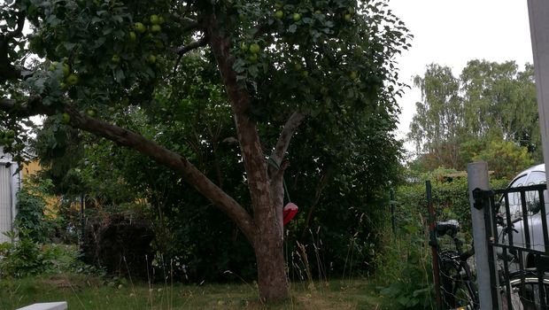 1 rok · 25 m² i Bromma – bild 2