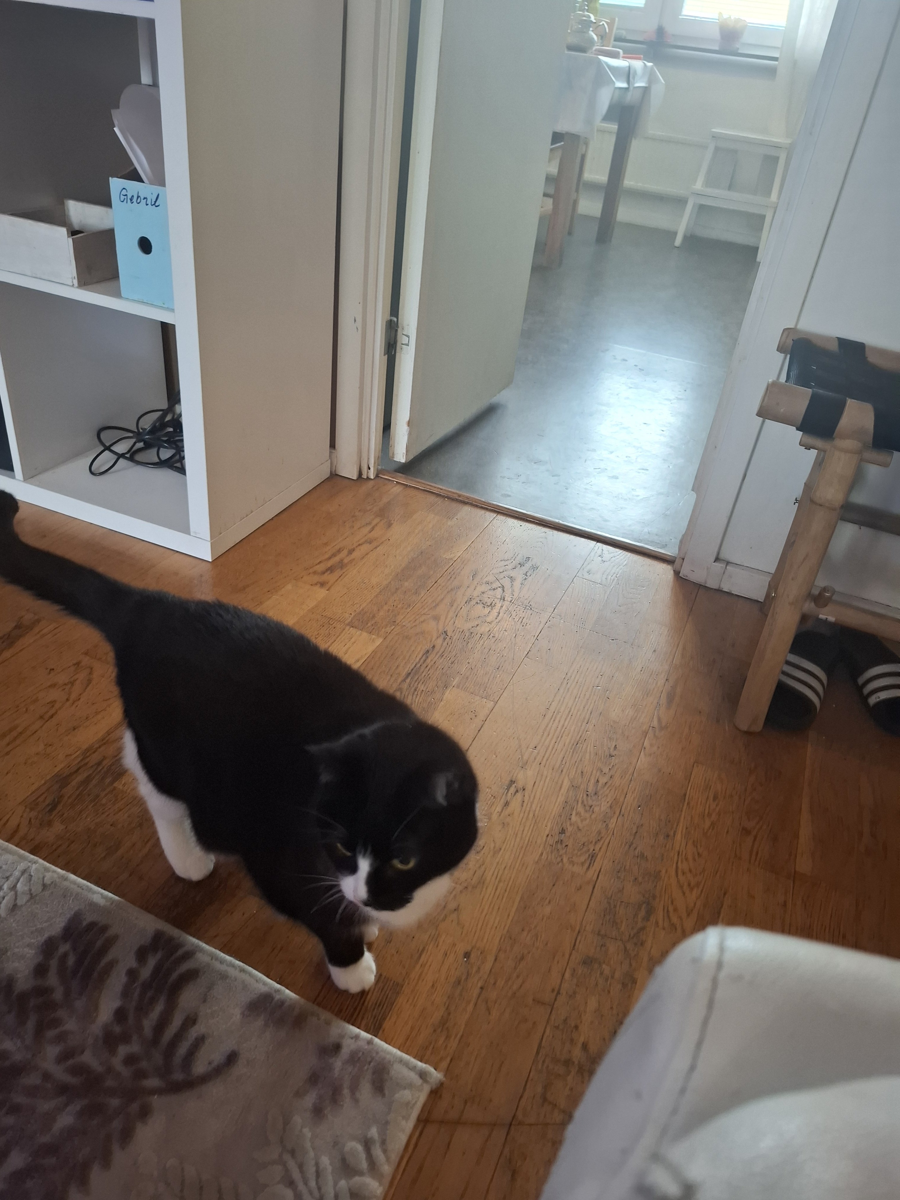 Lägenhet, 1 rooms, 15 sqm, Kista – Kista