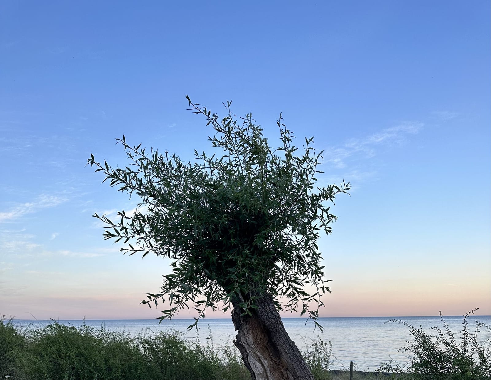 3 rok · 78 m² i Abbekås – bild 18
