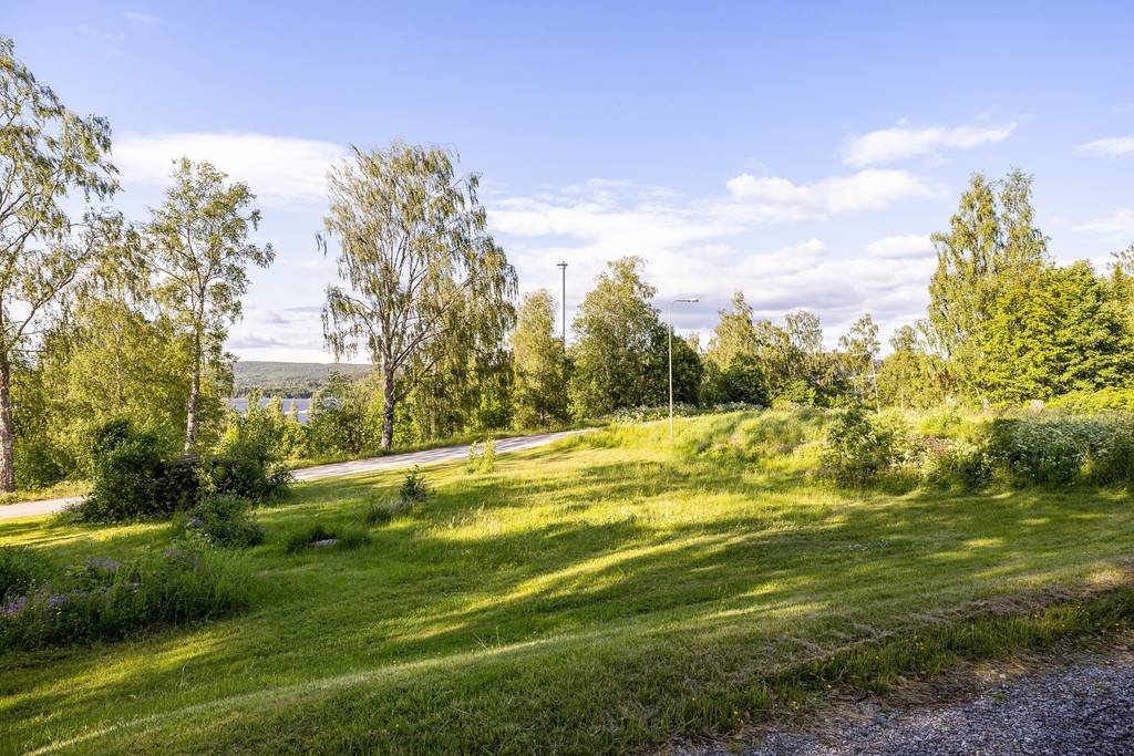 Villa/Hus, 4 rooms, 2241 sqm, Väja – bild 6