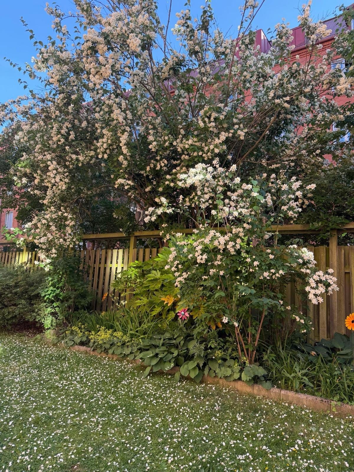 Lägenhet, 3 rooms, 77 sqm, Malmö