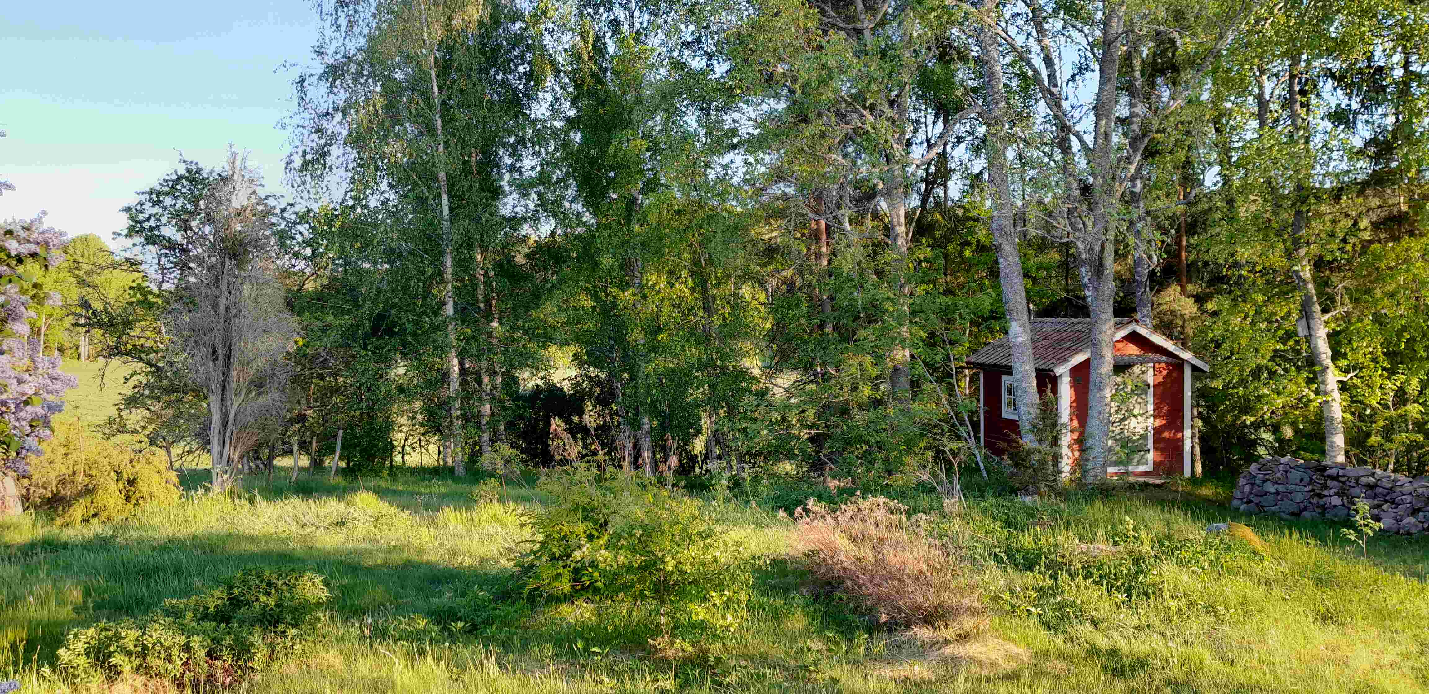 Stuga, 1 rooms, 40 sqm, Ringarum – Ringarum