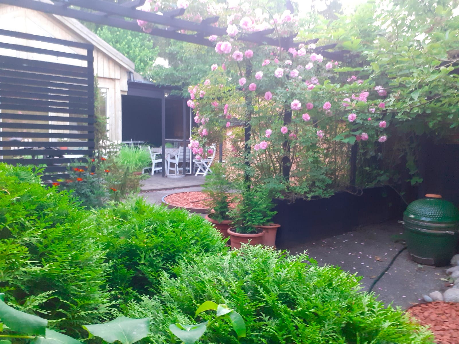 1 rok · 44 m² i Adelsö – bild 4