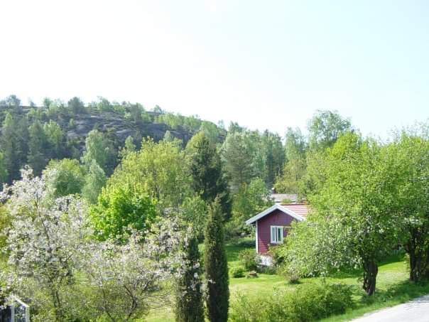 Stuga, 3 rooms, 58 sqm, Hjälteby – bild 6