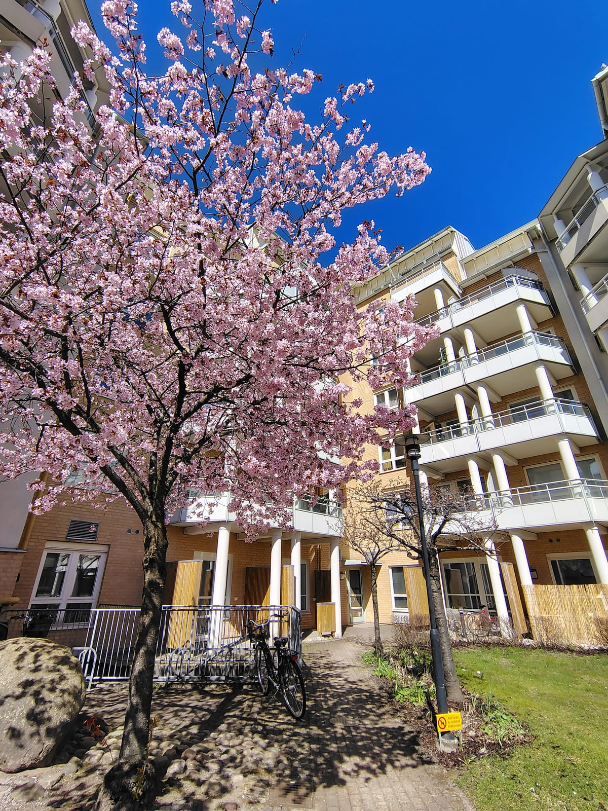 1 rok · 34 m² i Halmstad – bild 7