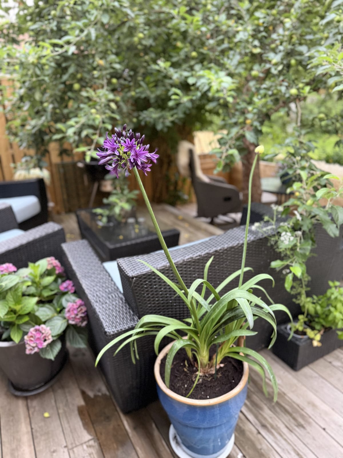 2 rok · 67 m² i Gnesta – bild 3
