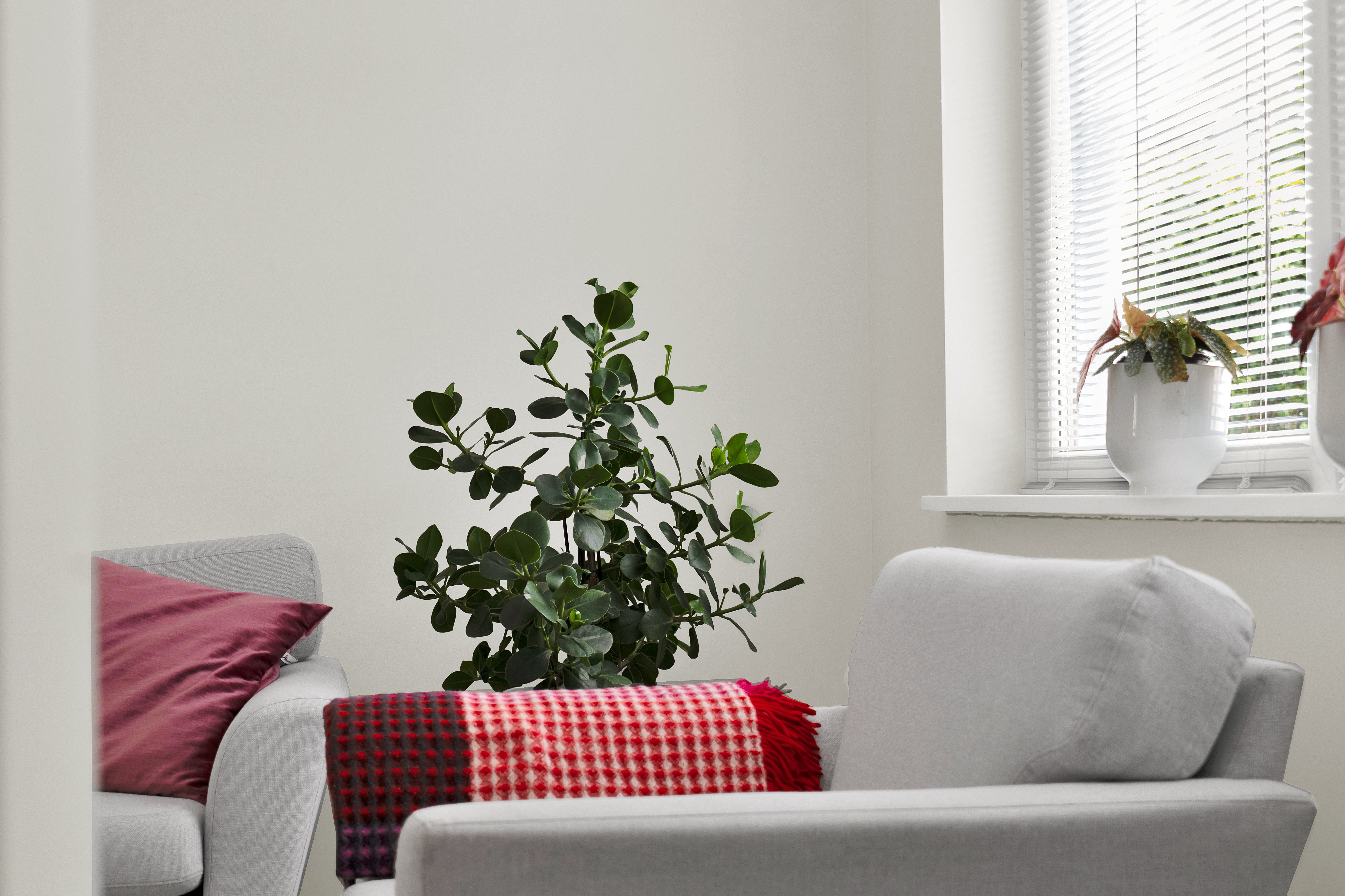 Villa/Hus, 3 rooms, 75 sqm, Sundbyberg – bild 20