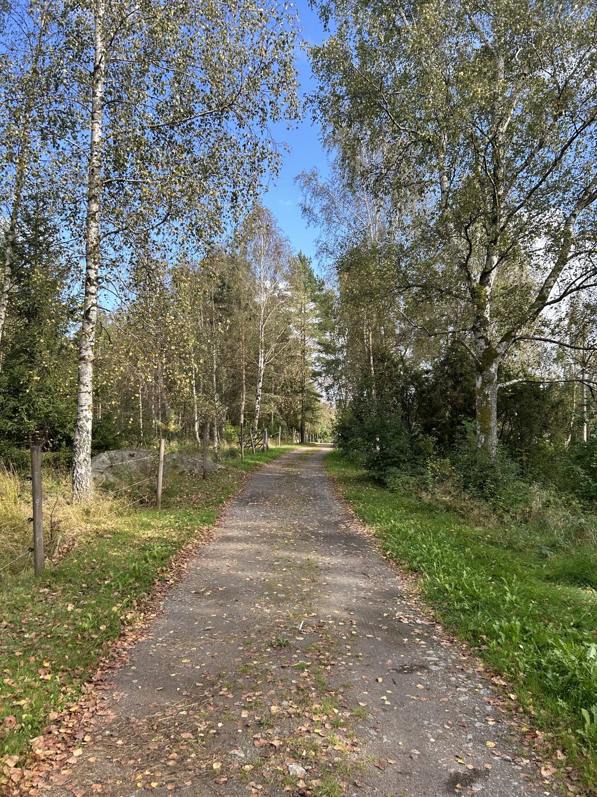 2 rok · 28 m² i Säve – bild 37
