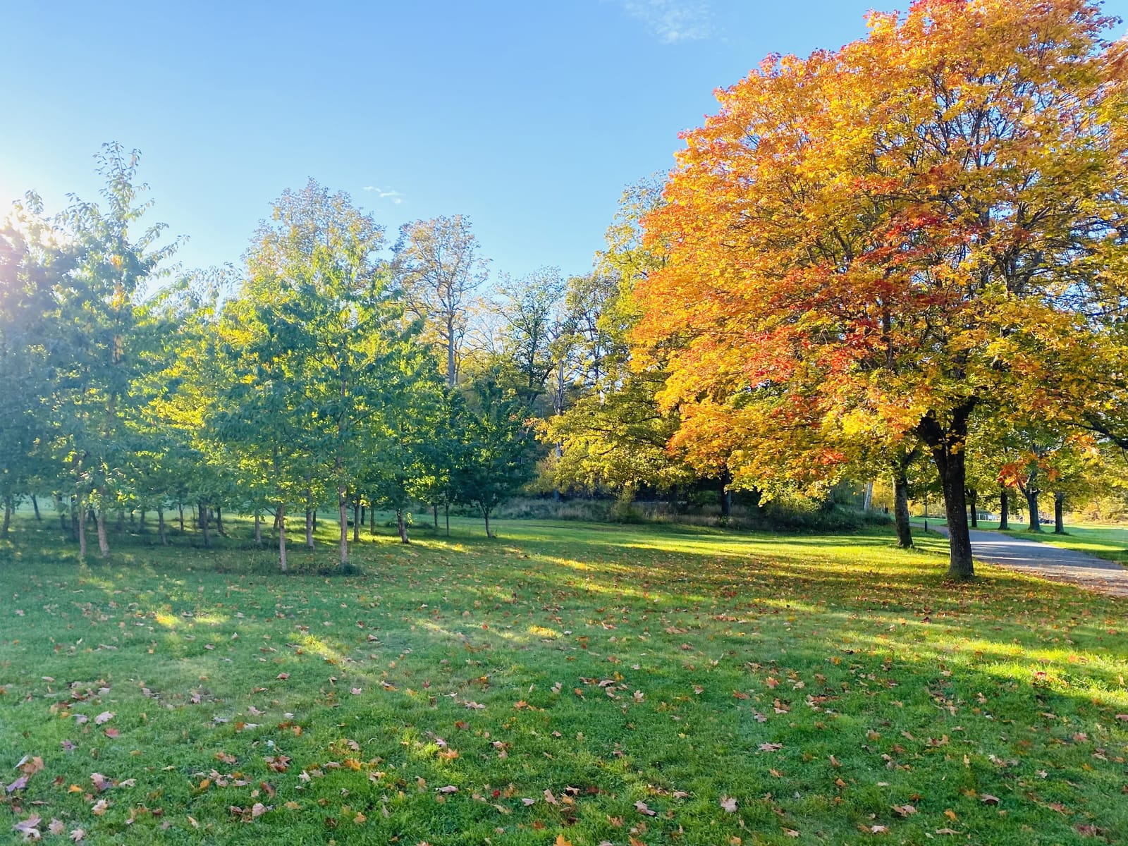 1 rok · 15 m² i Skärholmen – bild 9