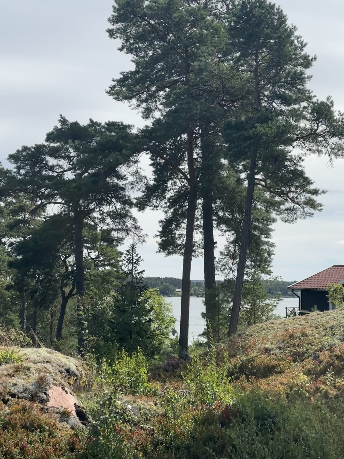 2 rok · 25 m² i Åkersberga – bild 13