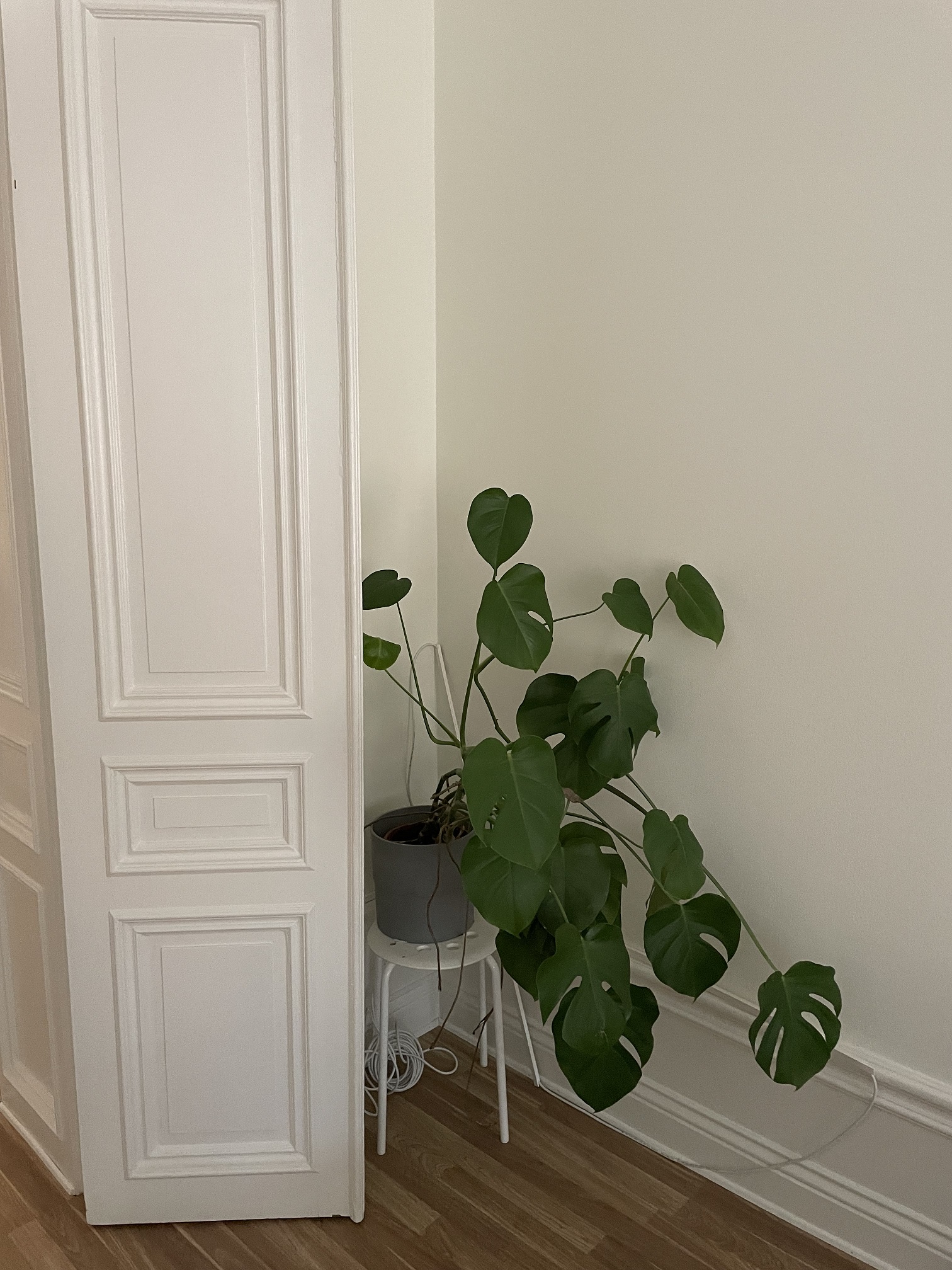 Lägenhet, 2 rooms, 90 sqm, Sundsvall – bild 5