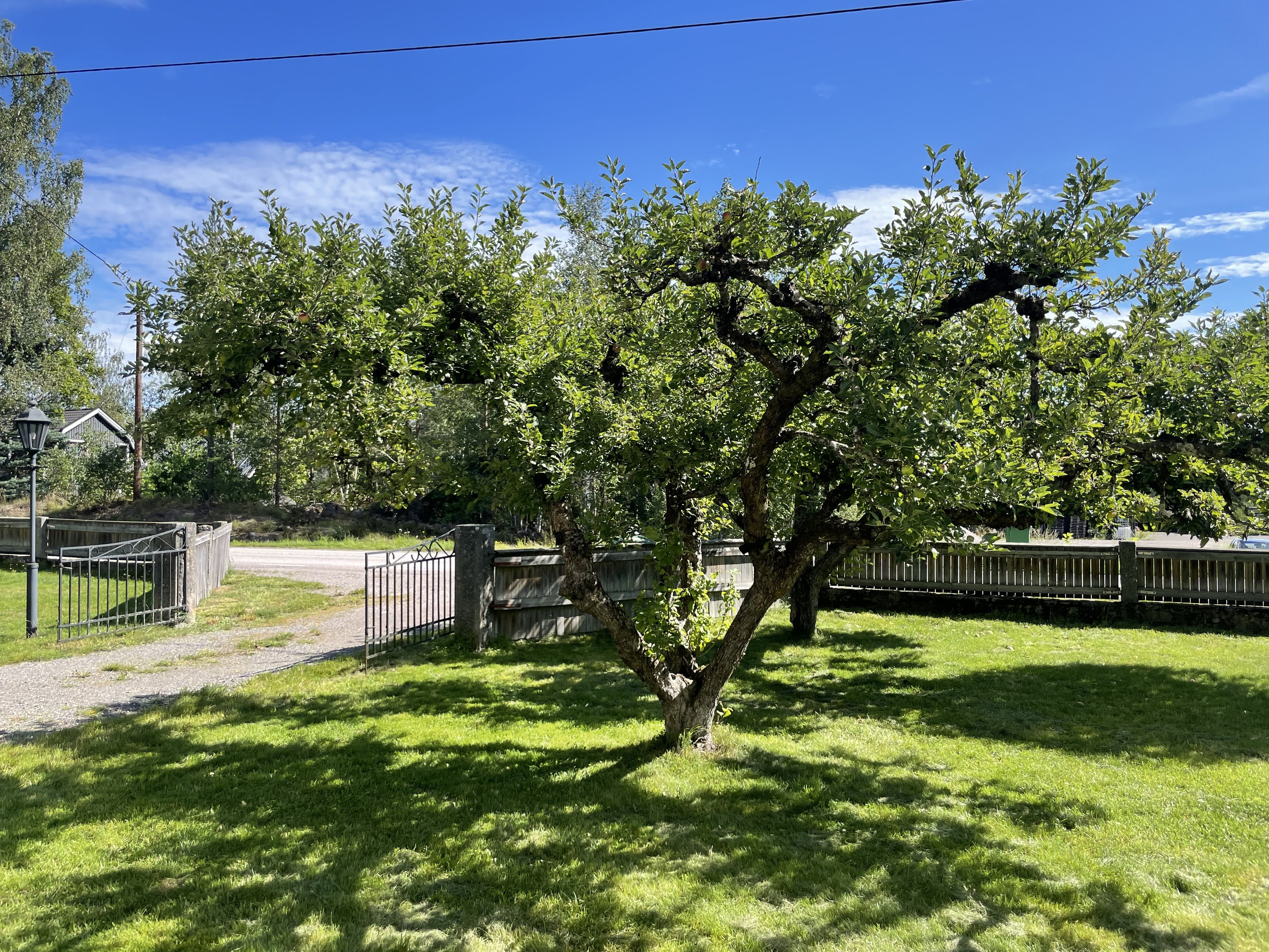 Villa/Hus, 5 rooms, 135 sqm, Nybro – bild 4