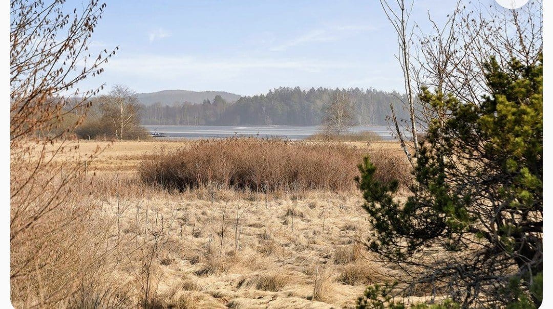 1 rok · 11 m² i Sjövik