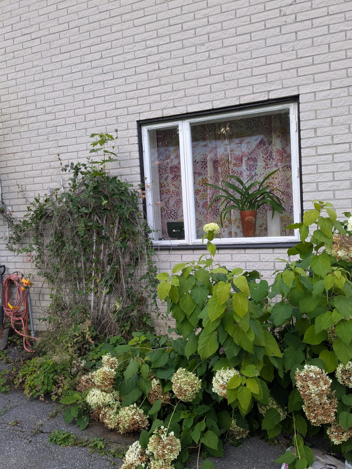 6 rok · 182 m² i Bollstabruk – bild 4