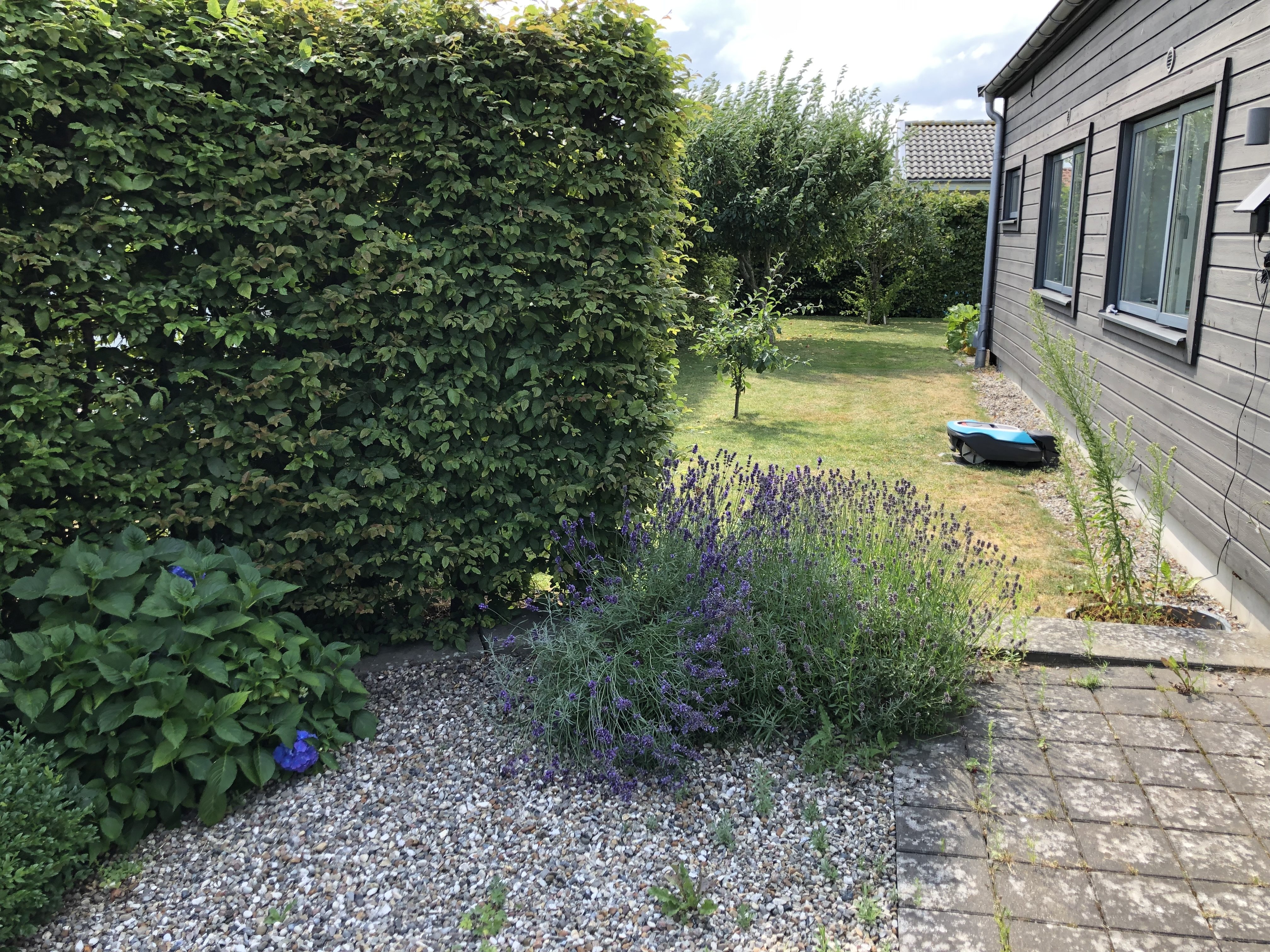 Villa/Hus, 6 rooms, 180 sqm, Vejbystrand – bild 9