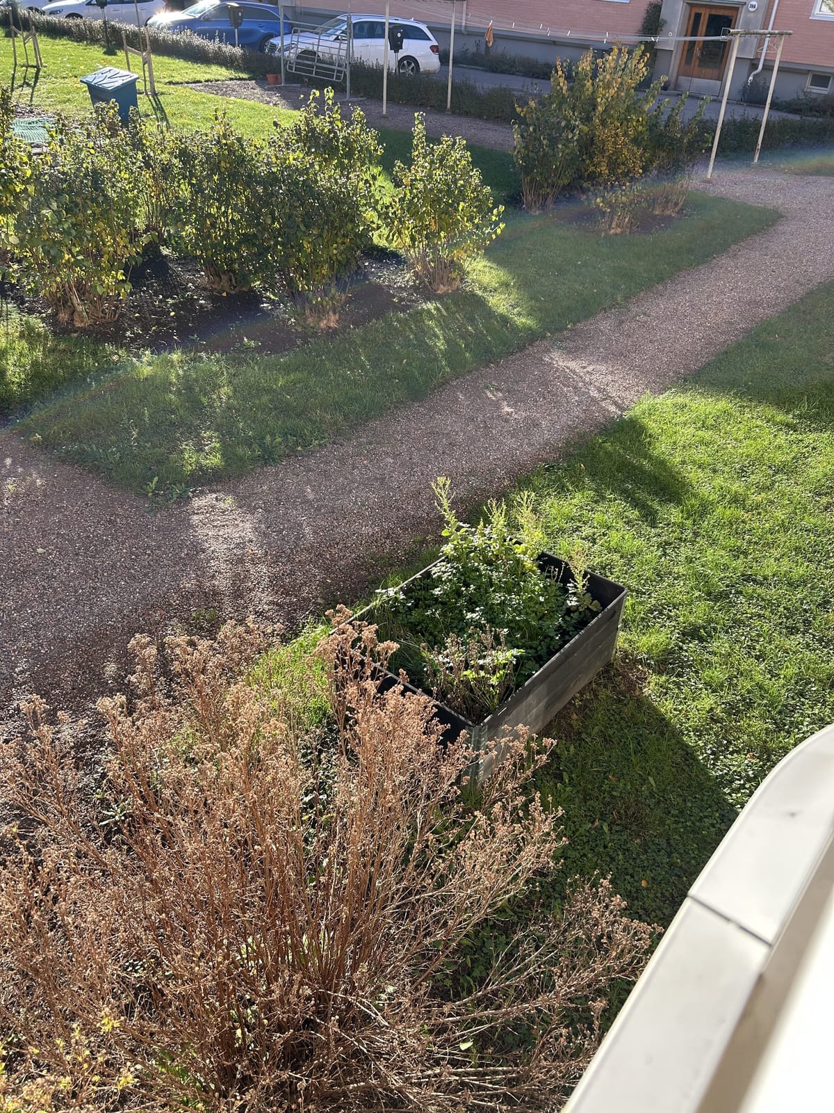 2 rok · 54 m² i Uppsala – bild 9