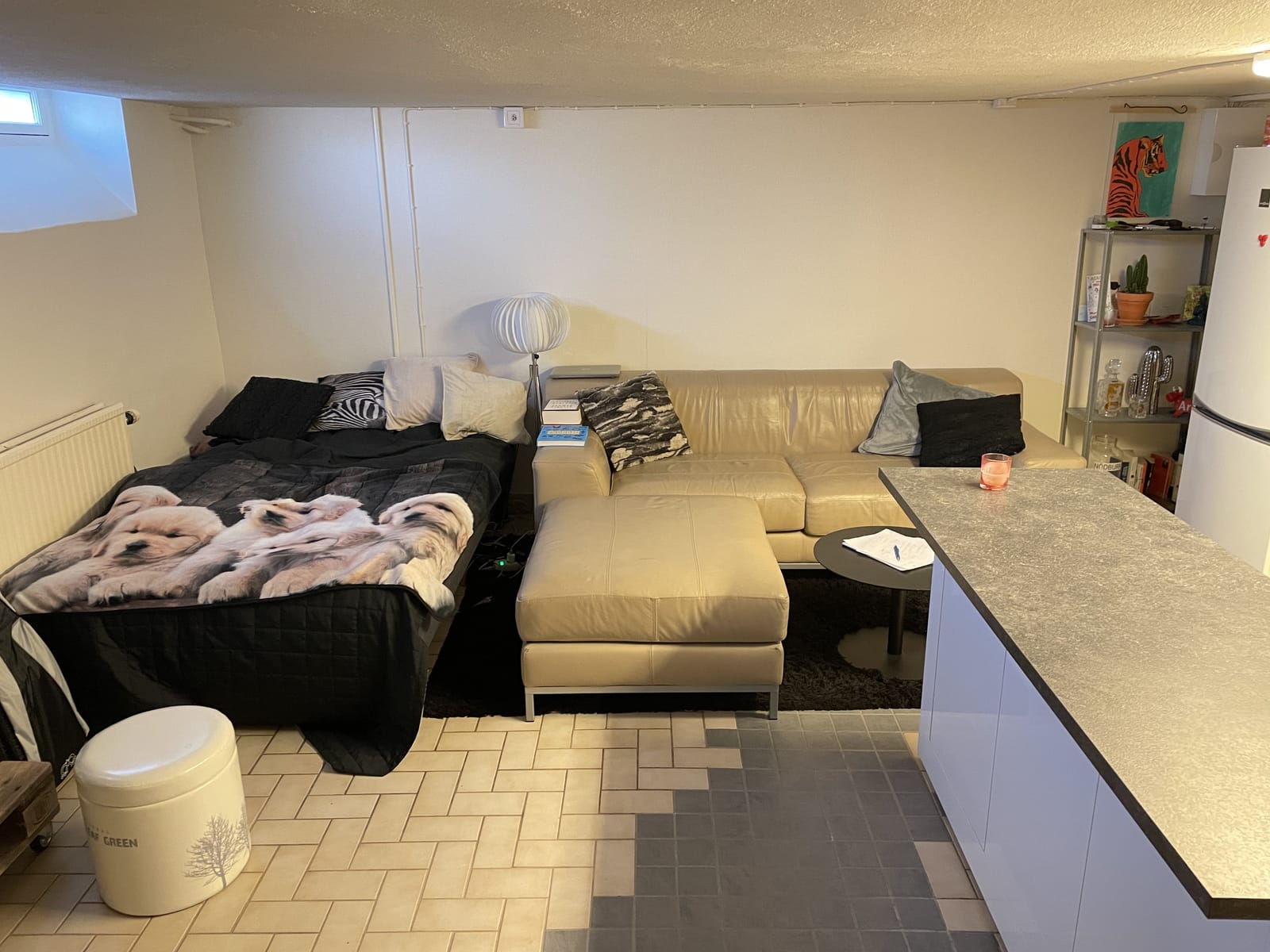 1 rok · 25 m² i Vara – bild 2