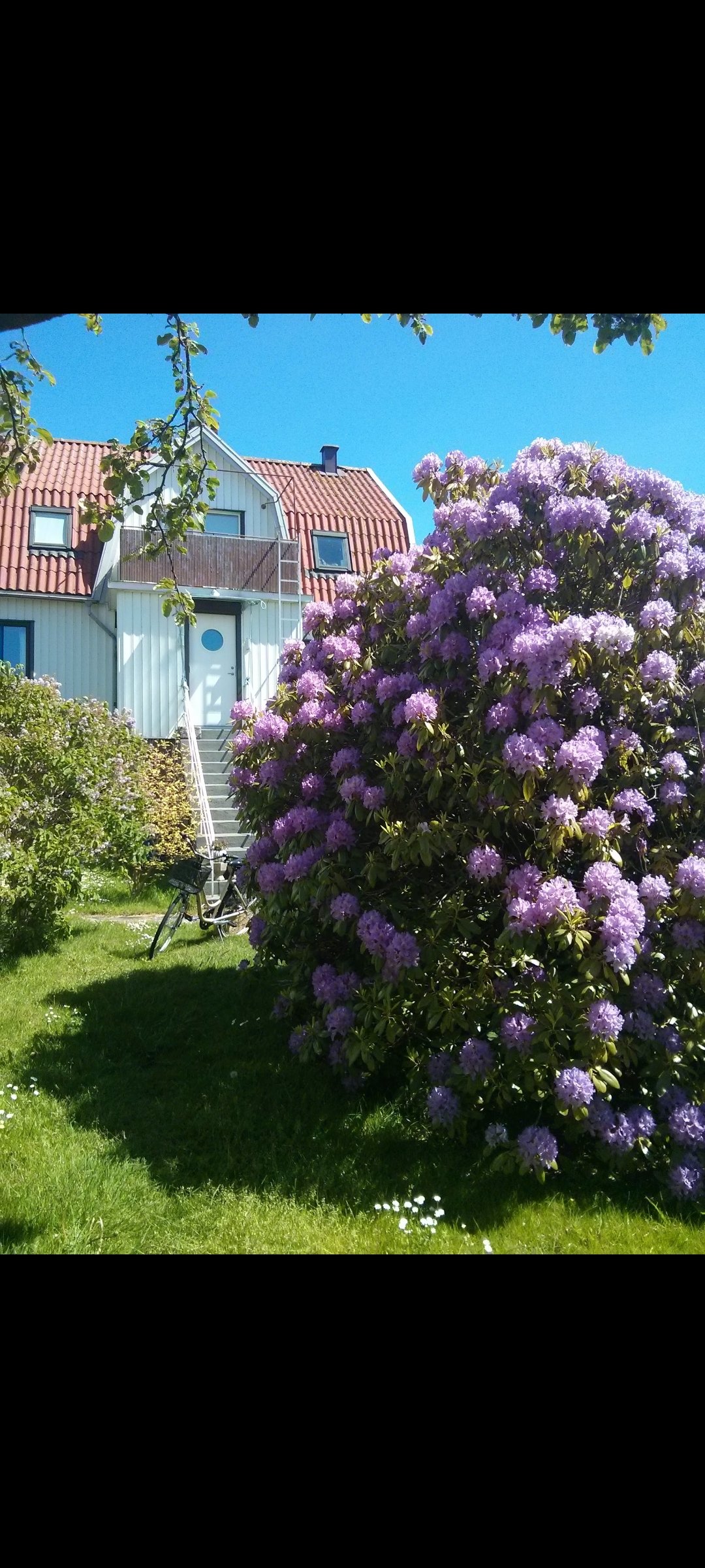 Villa/Hus, 3 rooms, 65 sqm, Dyrön – bild 10
