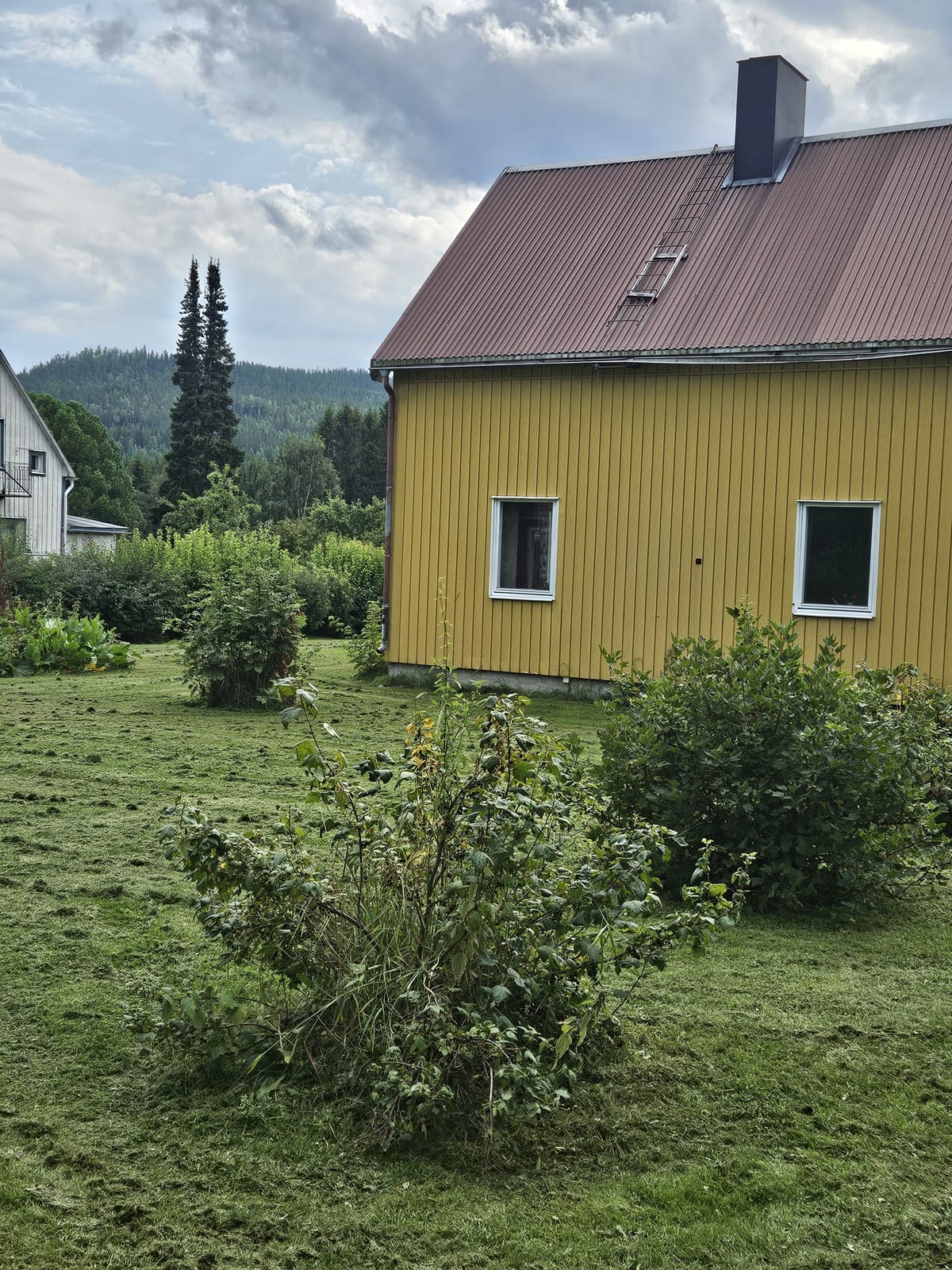 5 rok · 130 m² i Ljungaverk – bild 5