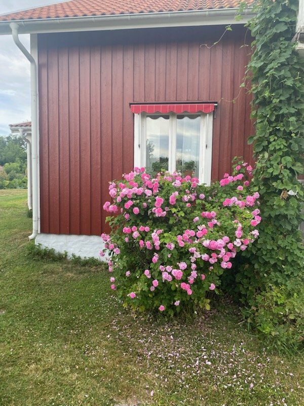 5 rok · 140 m² i Vingåker – bild 7