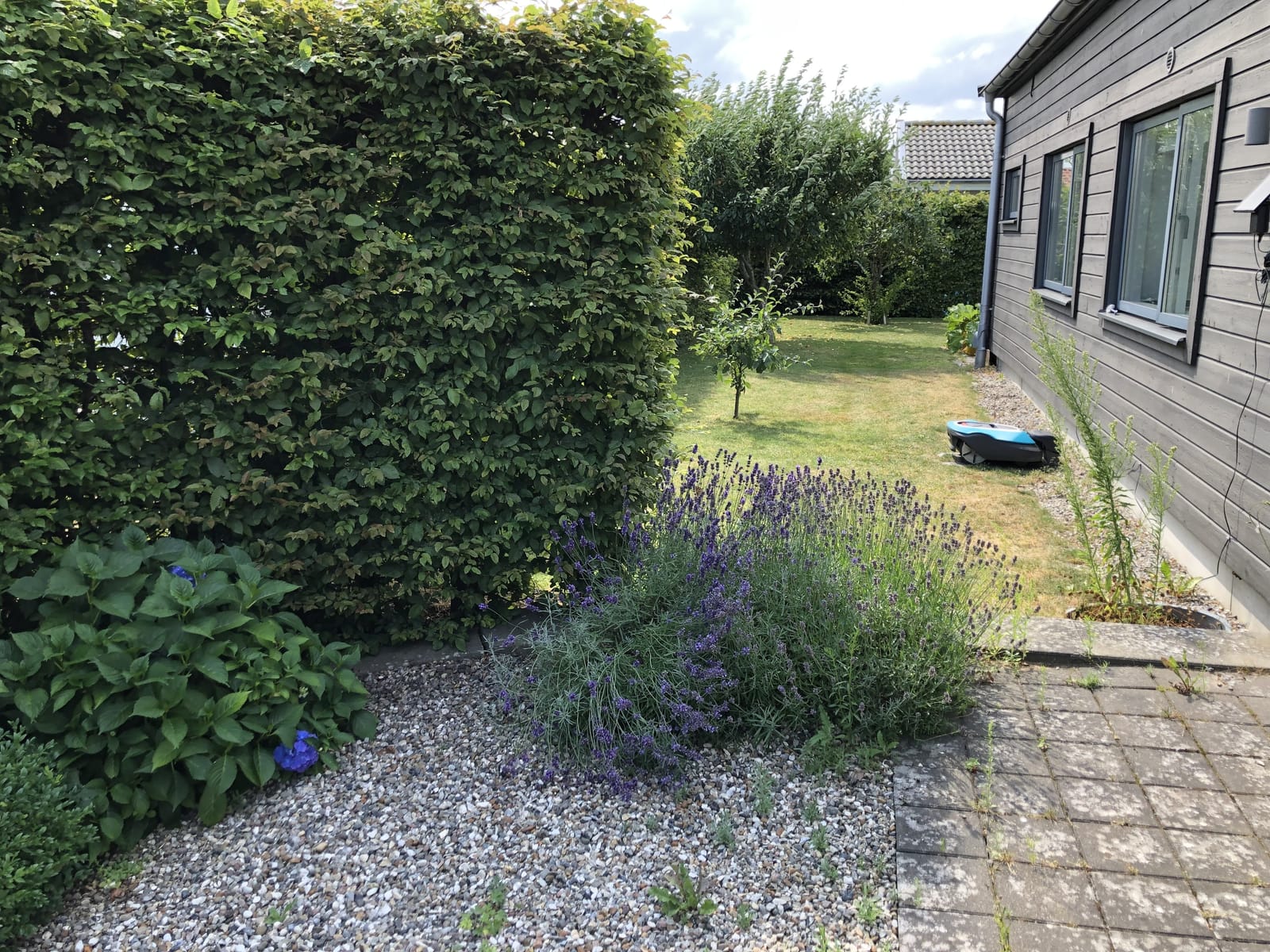6 rok · 180 m² i Vejbystrand – bild 4