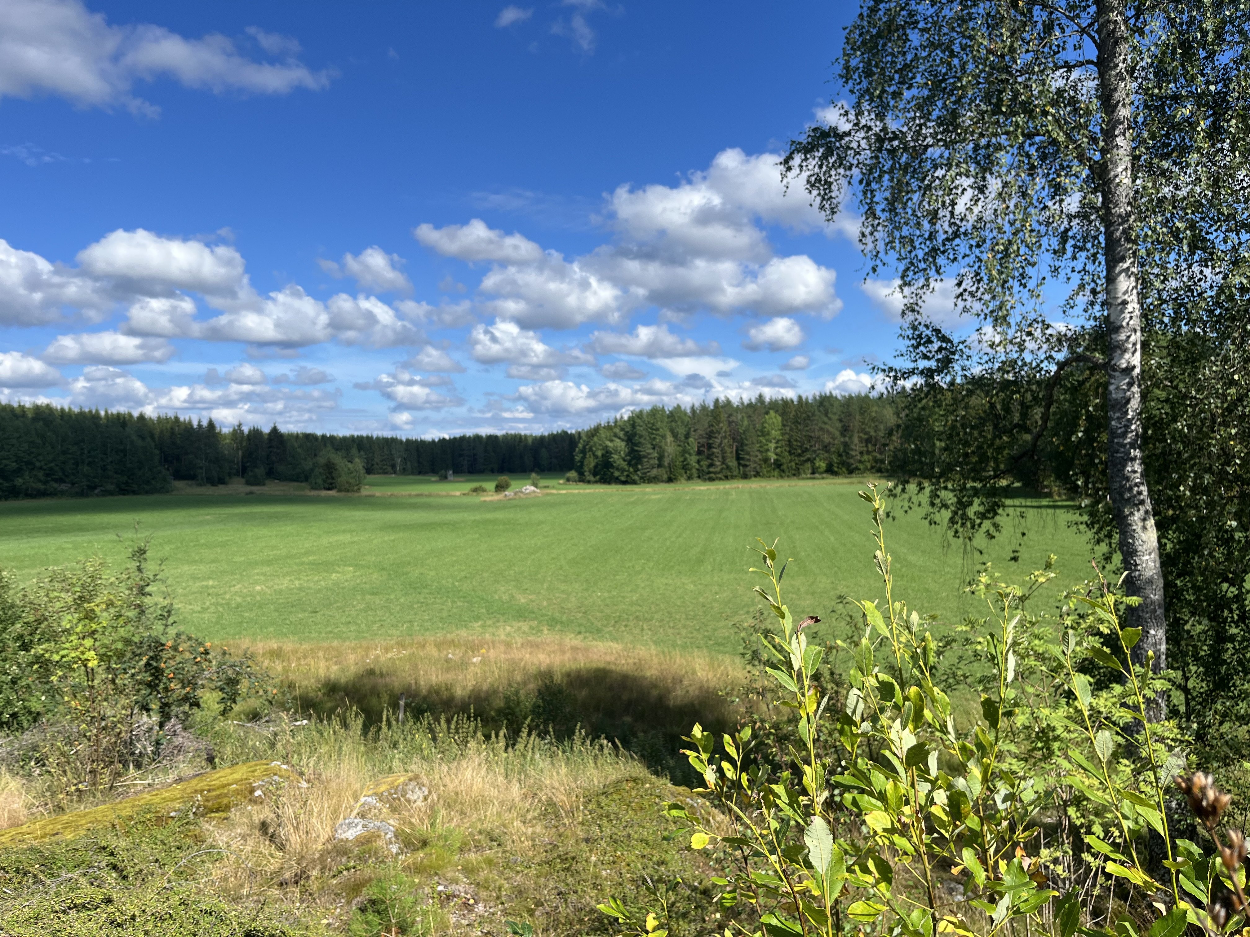Villa/Hus, 10 rooms, 200 sqm, Vallentuna – bild 4