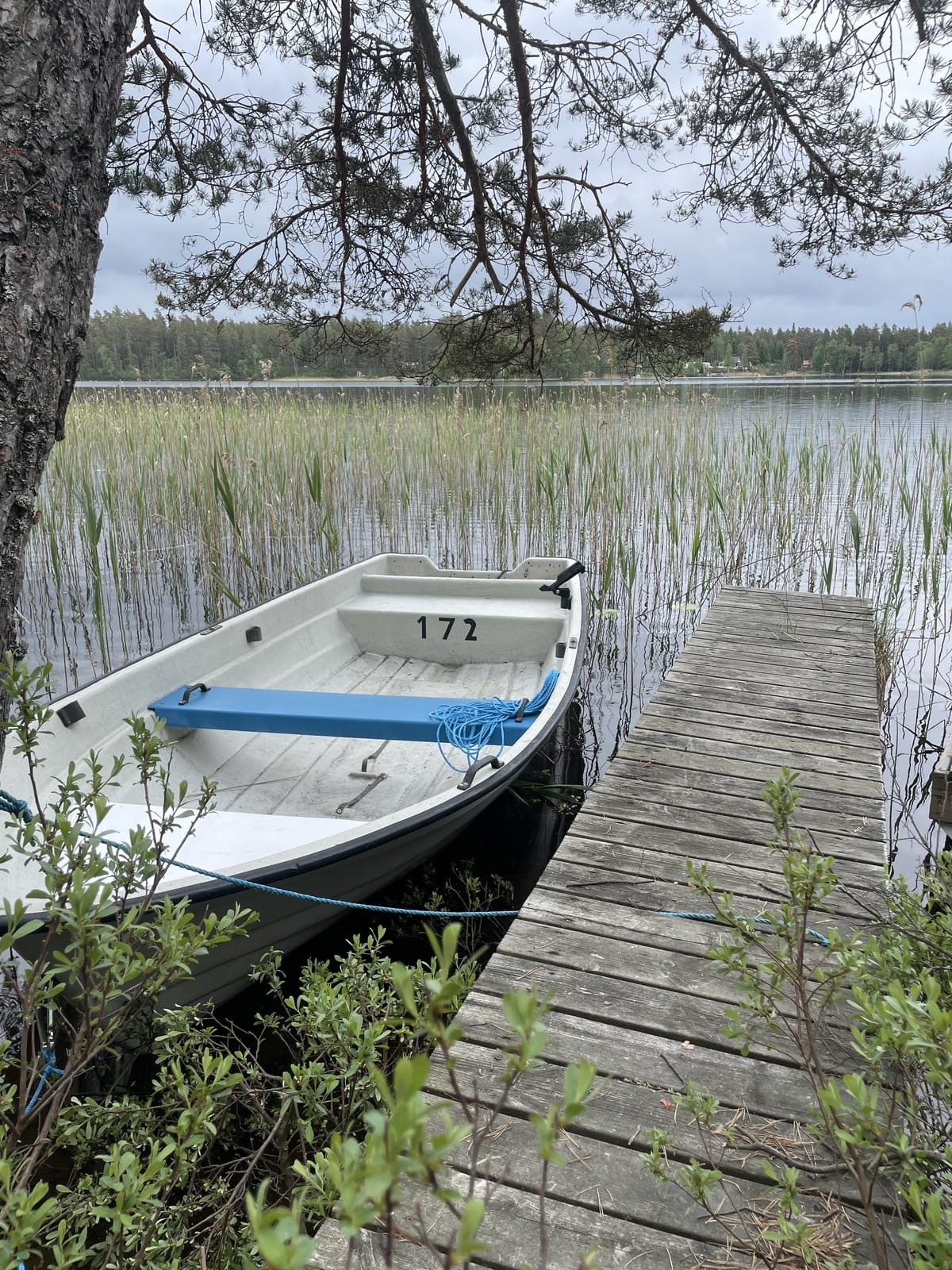3 rok · 55 m² i Jönköping – bild 13