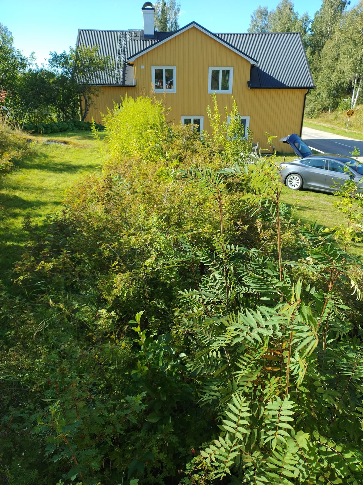 6 rok · 200 m² i Idkerberget – bild 37