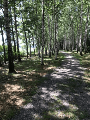 5 rok · 115 m² i Örsjö – bild 6