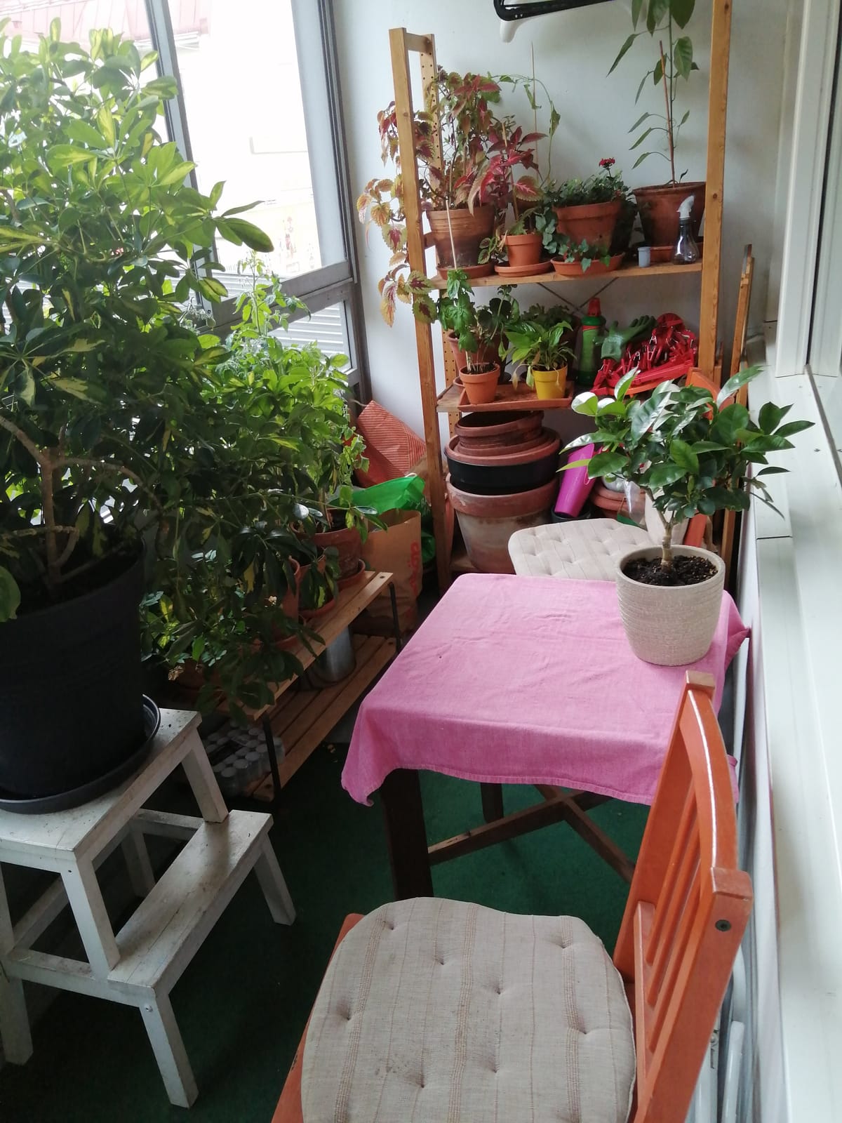 1 rok · 12 m² i Göteborg – bild 5